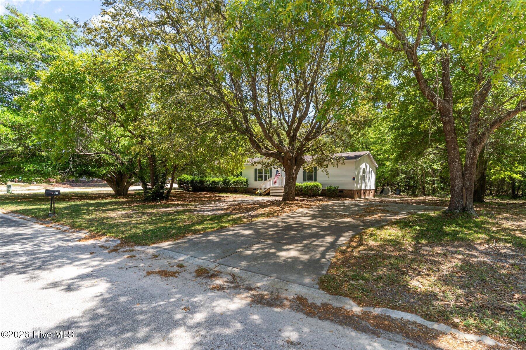 100567568 | Photo 39