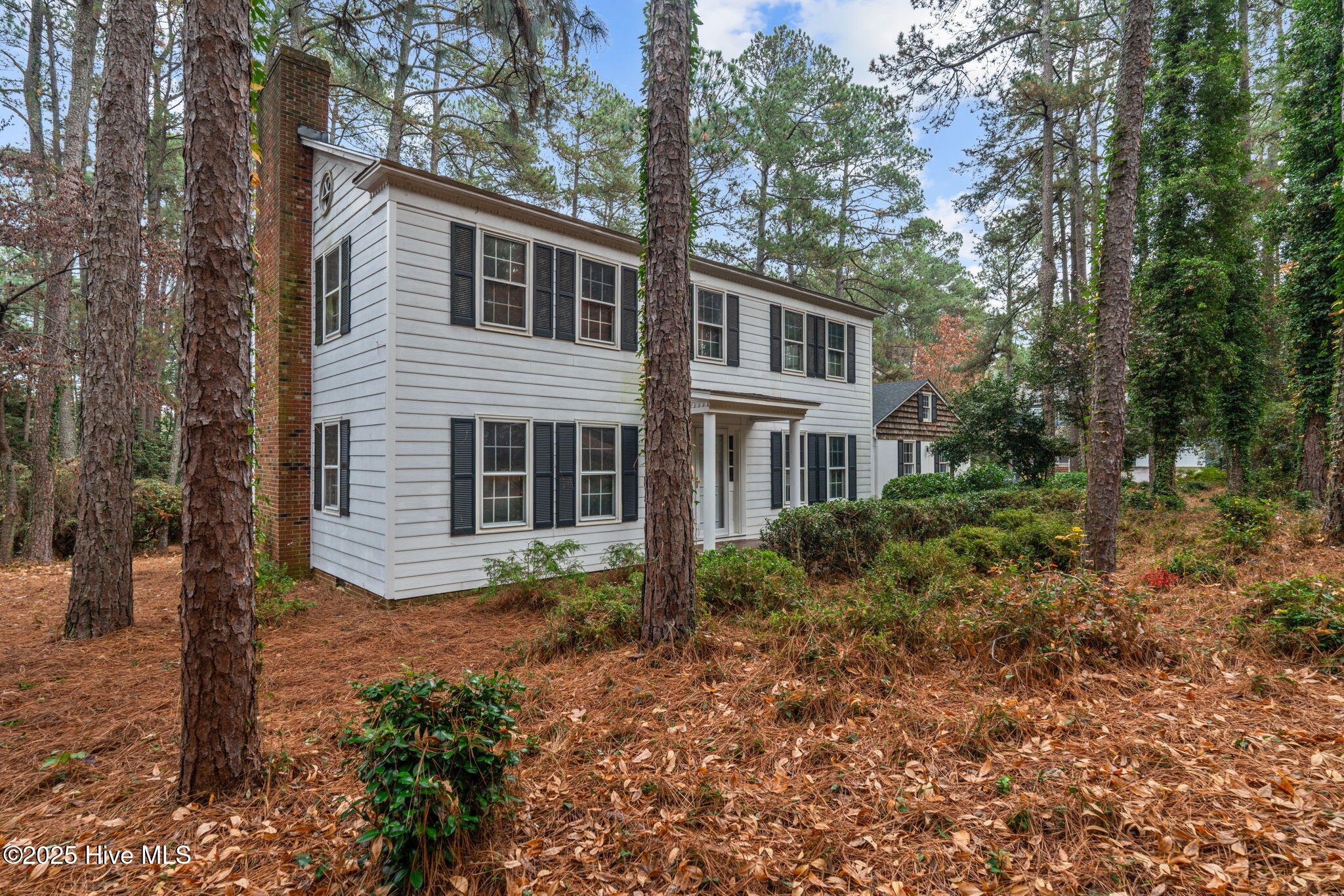 Homes for sale in Southern Pines, NC | 102 James Creek Rd, Southern Pines, NC 28387 | MLS# 100543762
