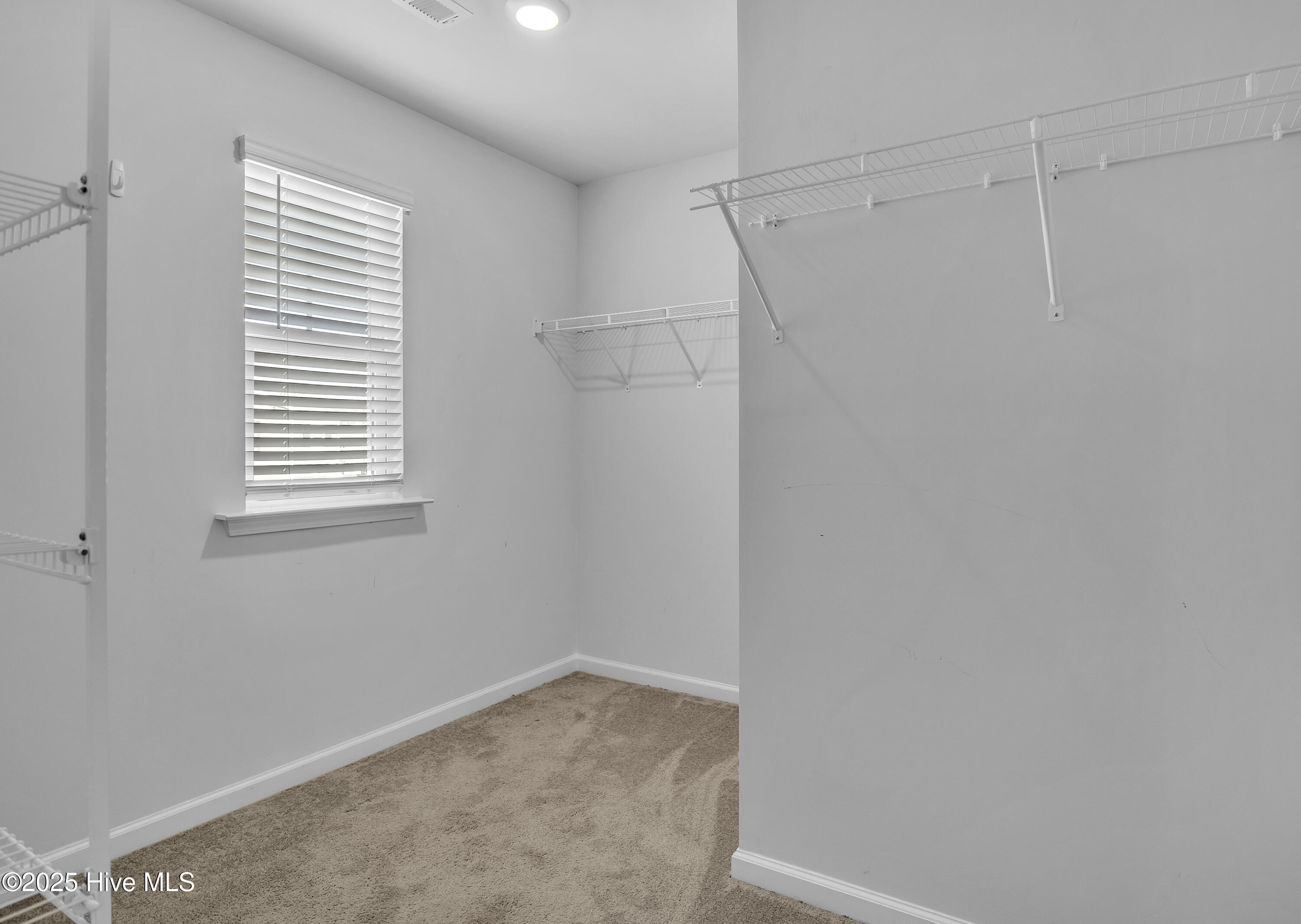 100540789 | Photo 36