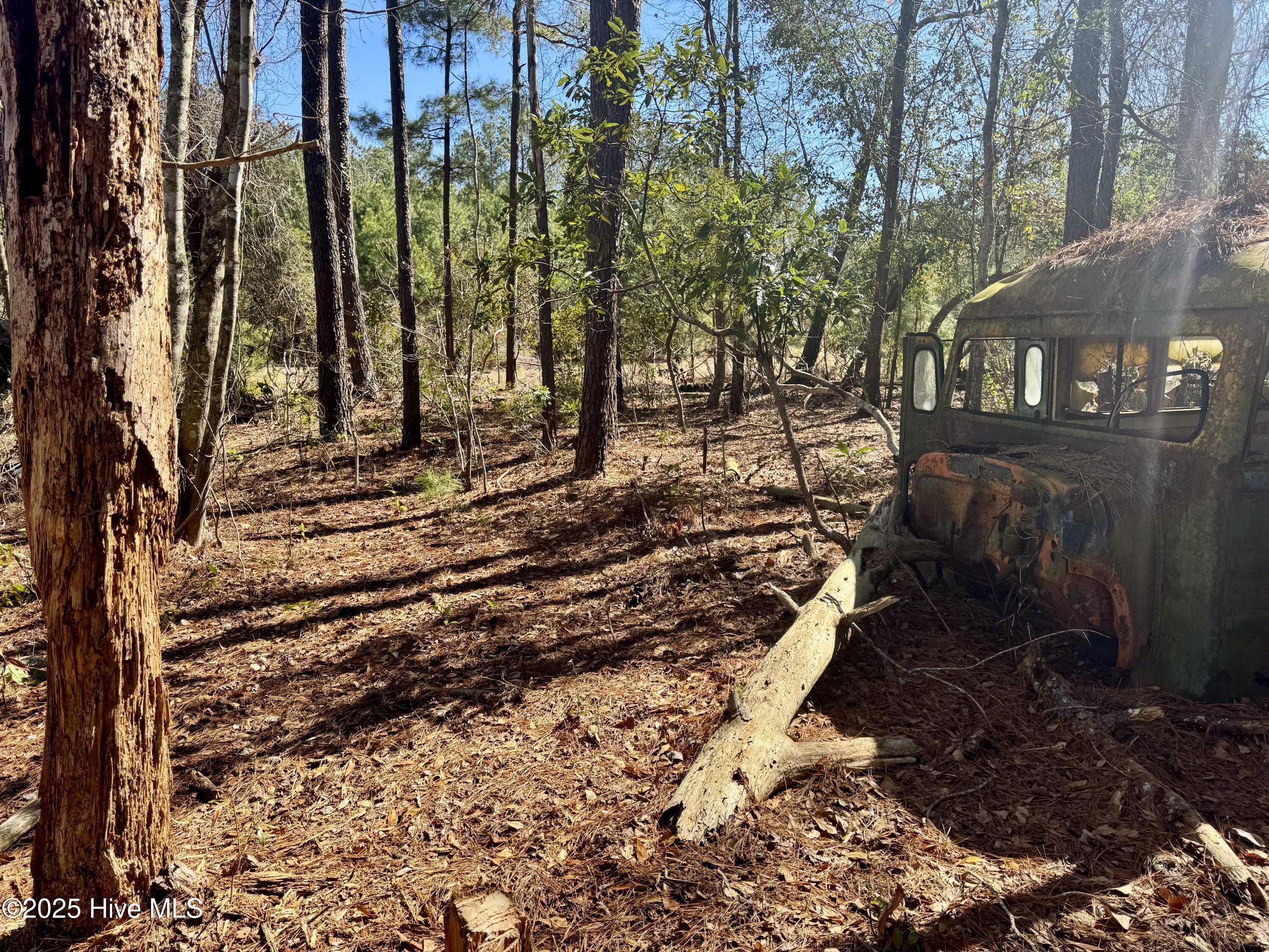 100490813 | Photo 27