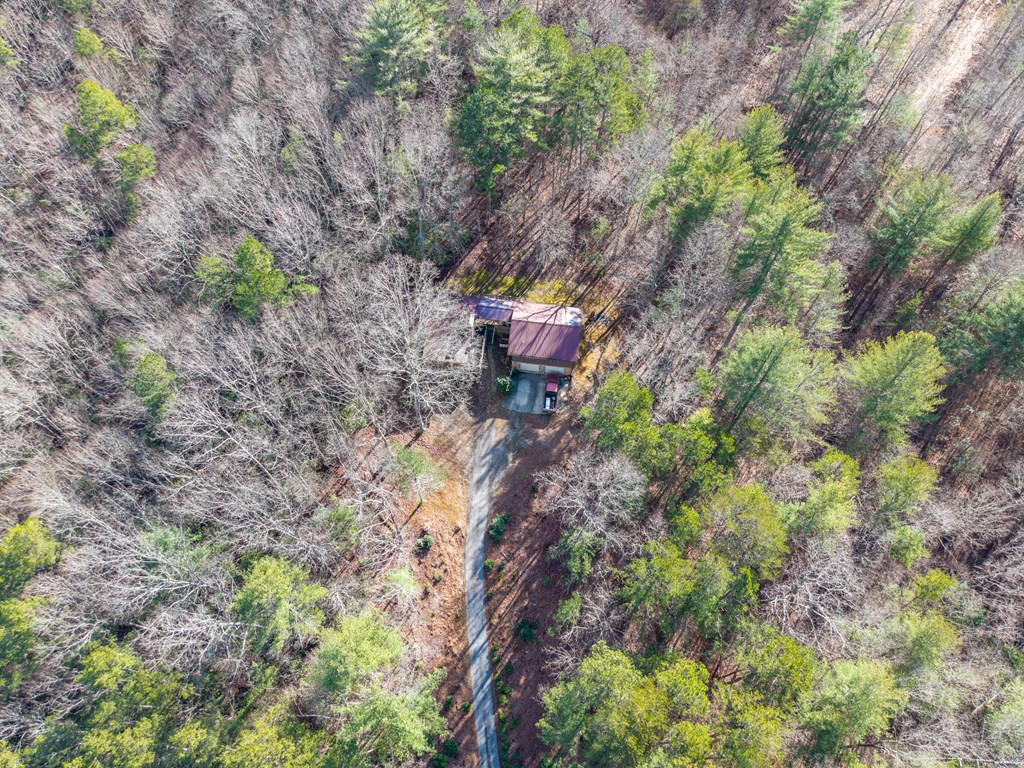 300 Sandy Gap Road, Murphy, NC 28906 Listing Photo  7