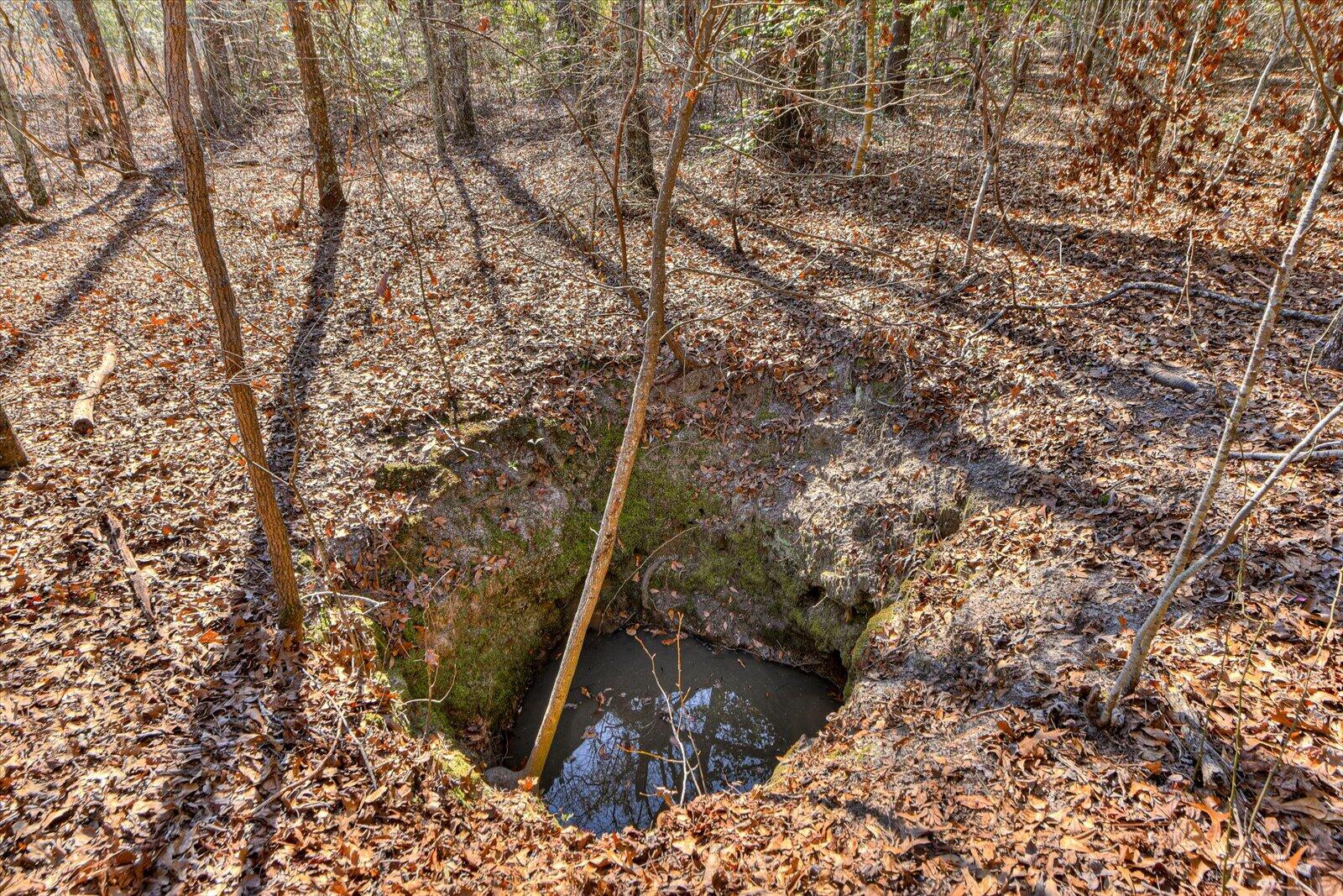 Homes for sale in Williston, SC | 853 Sc 39, Williston, SC 29853 | MLS# 538955