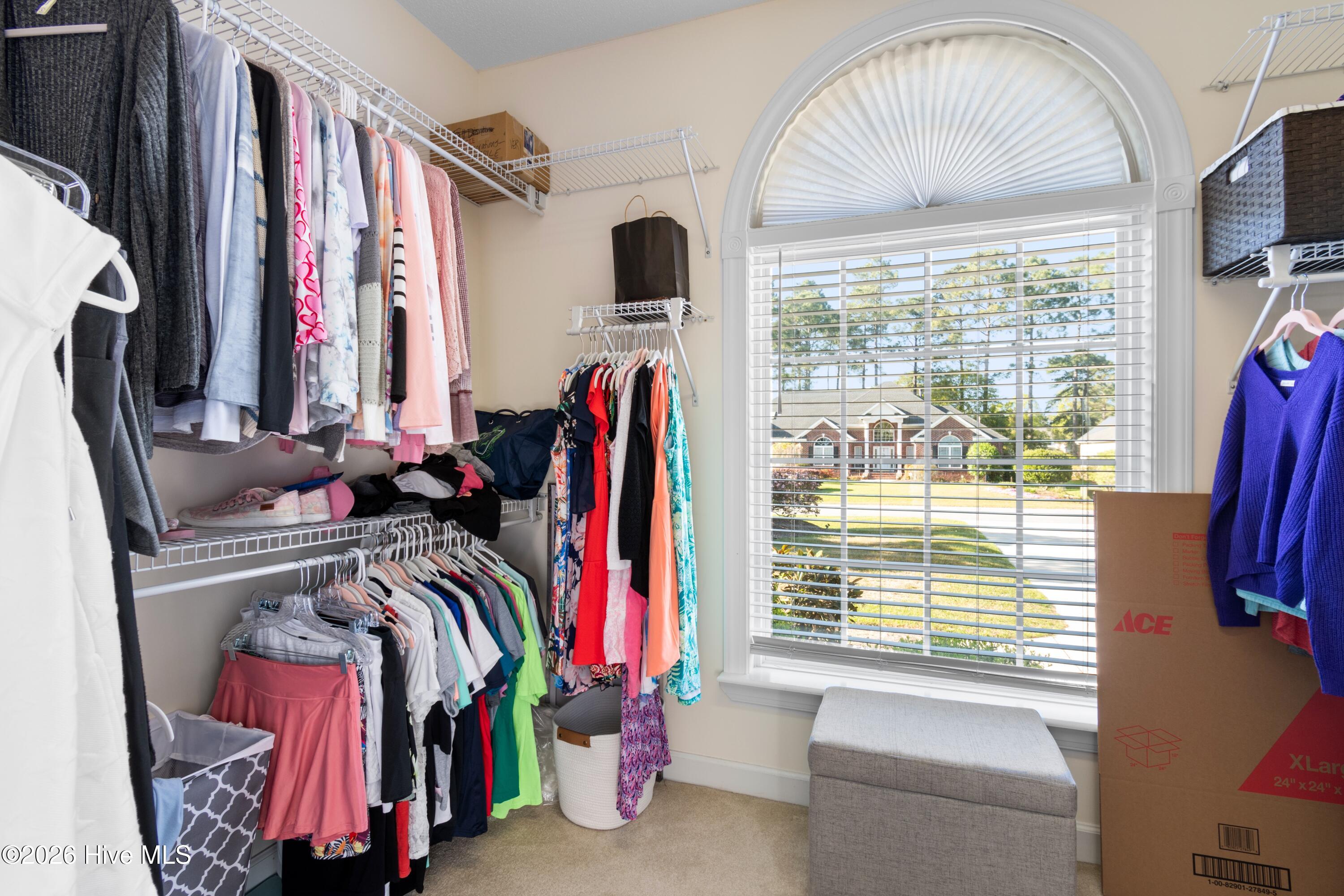 100564906 | Photo 31