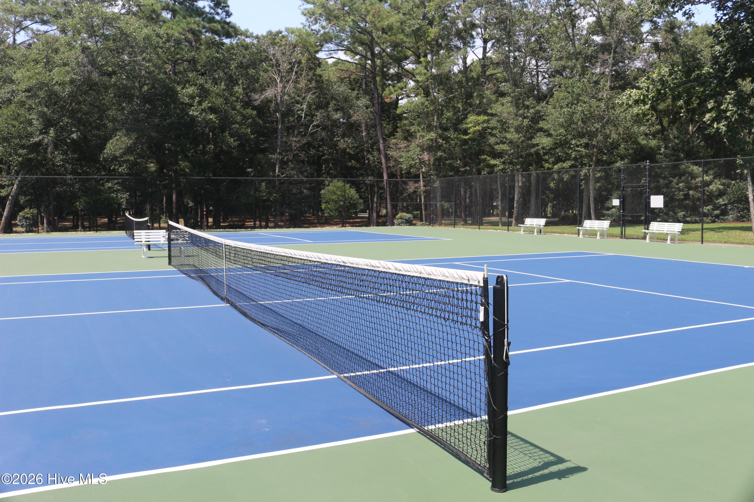 100566261 | Photo 34