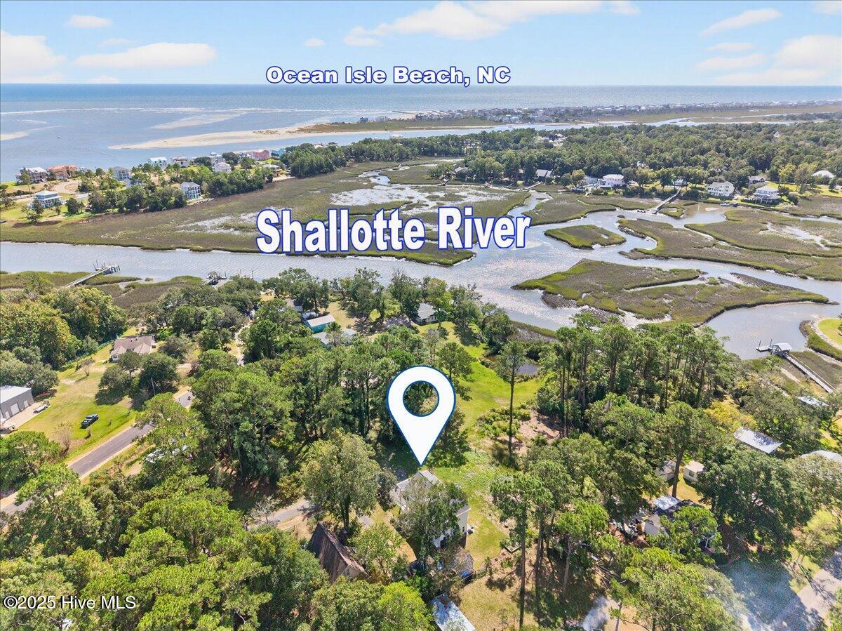 100536911 | Photo 44