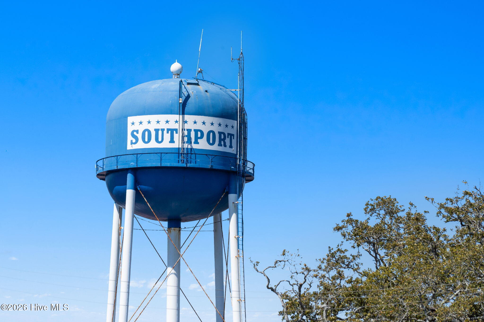 100561861 | Photo 69