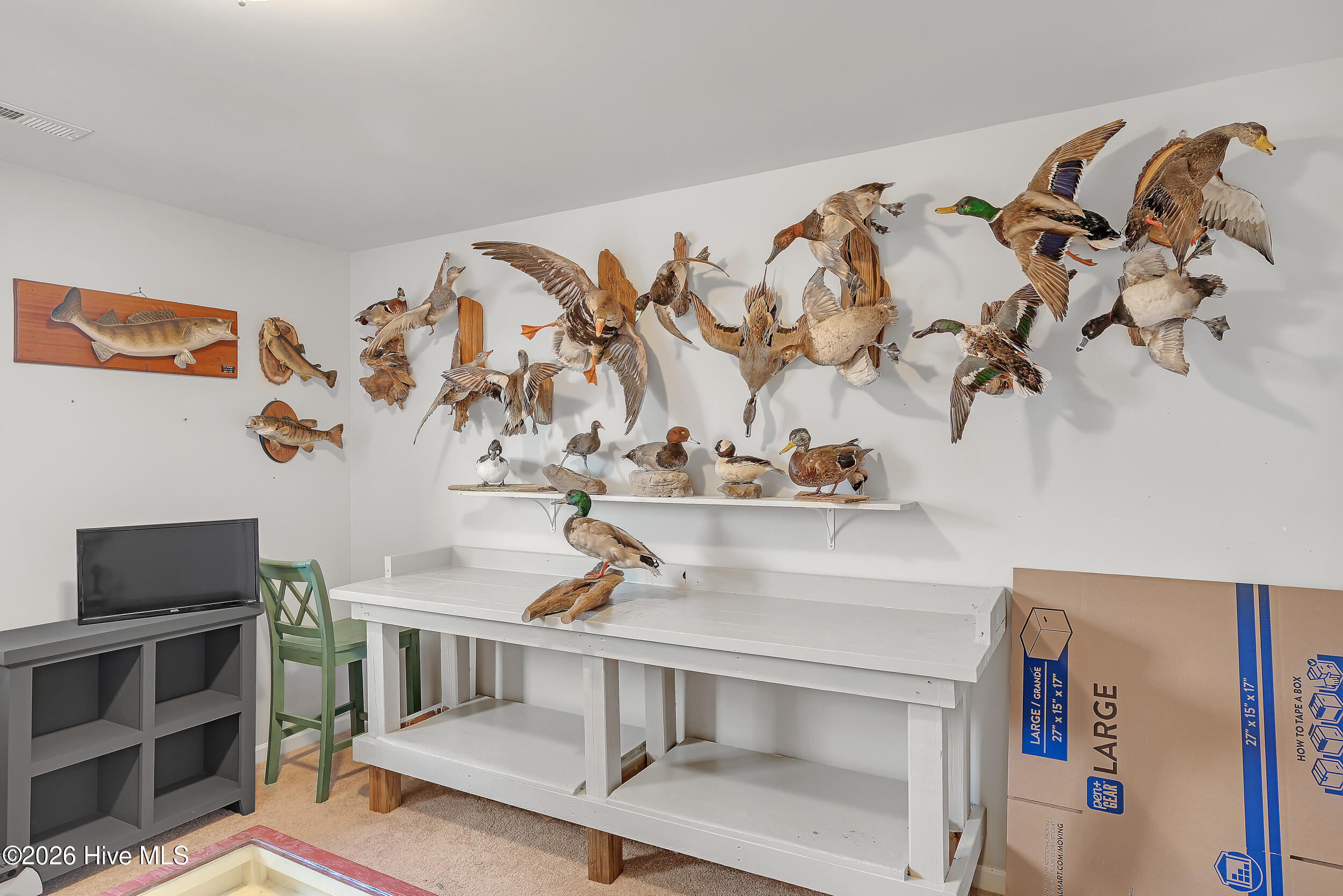 100551488 | Photo 35