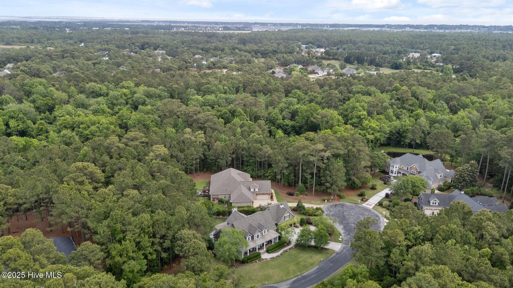 100565962 | Photo 14