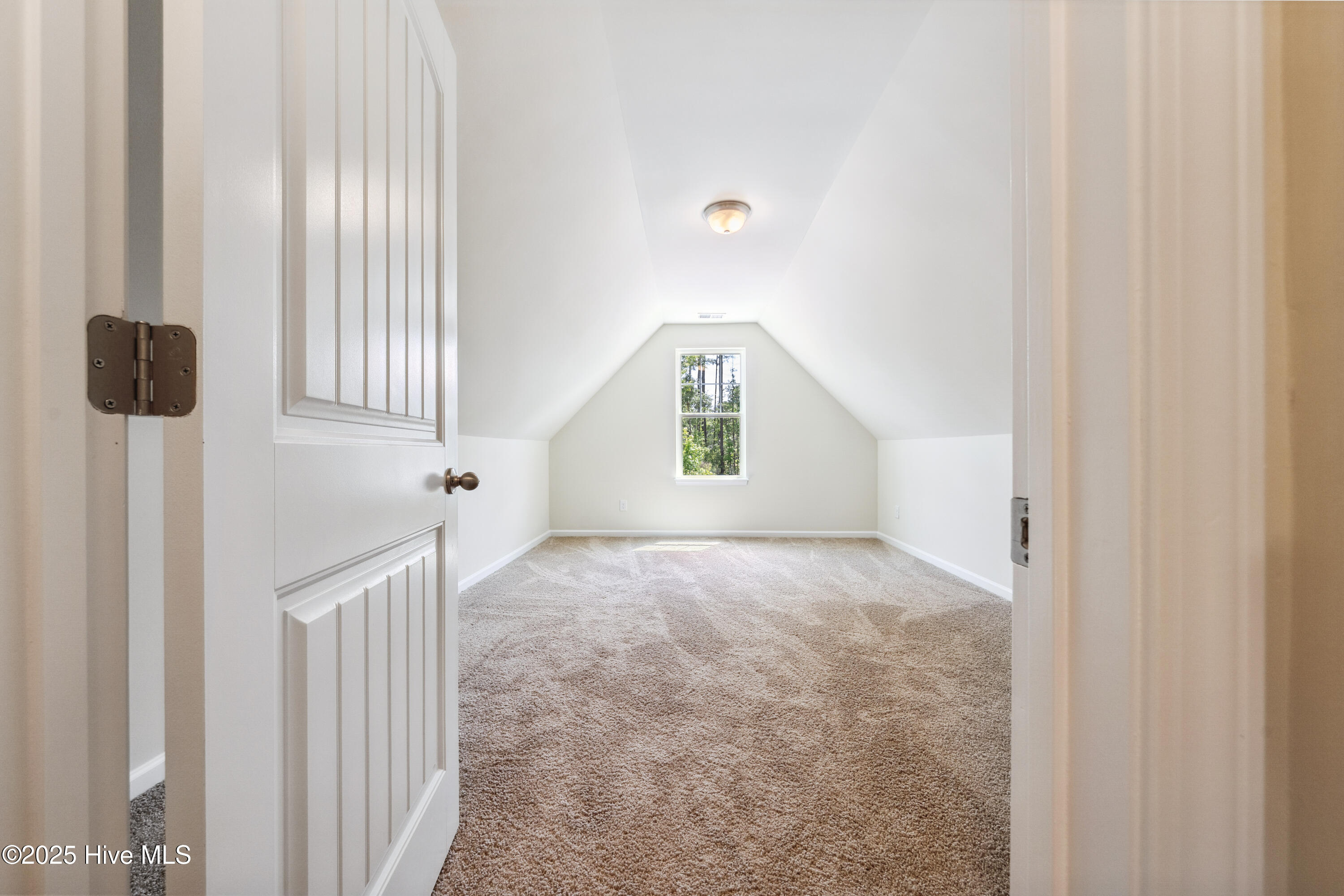 100485279 | Photo 34