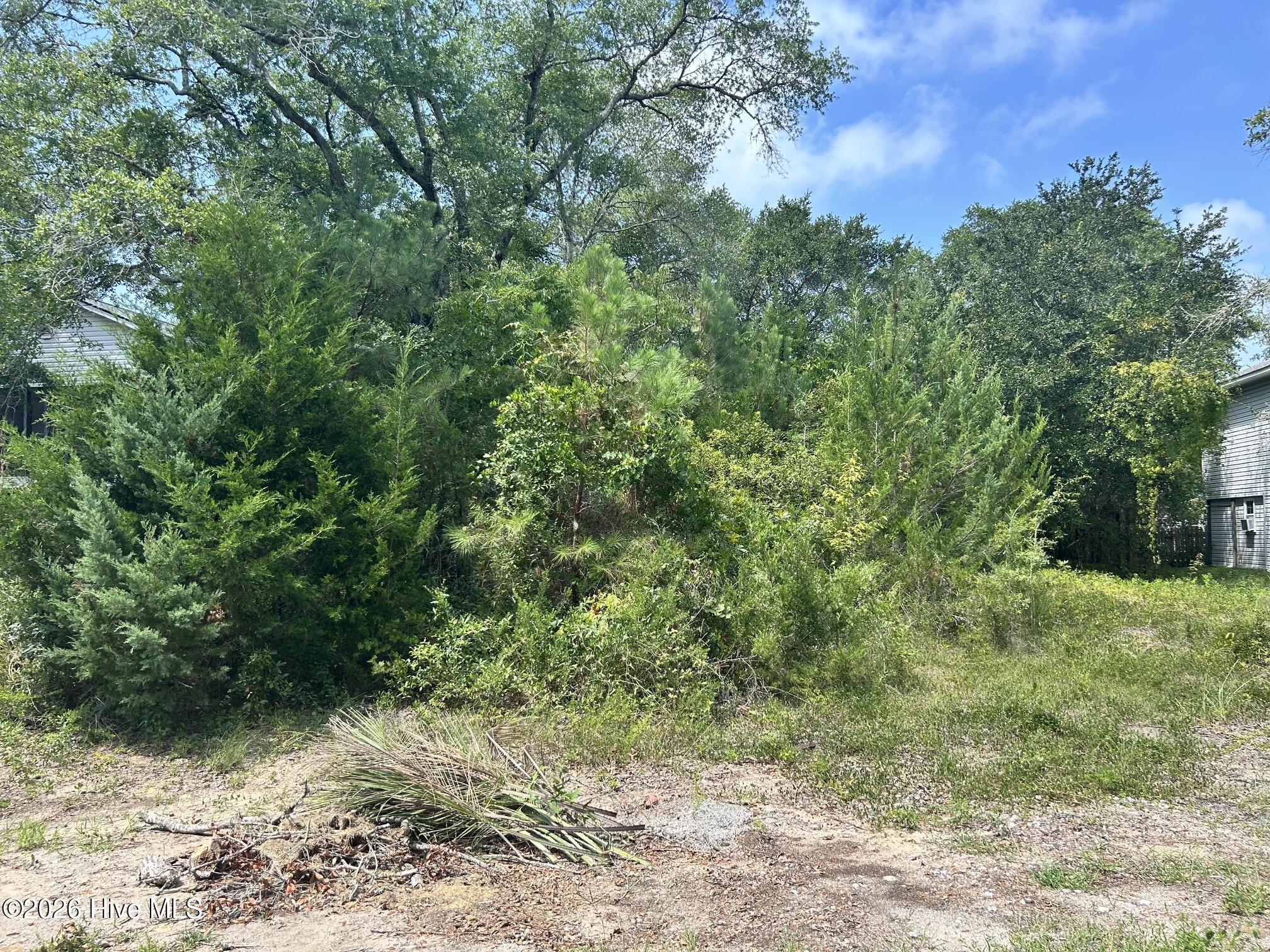 Carolina Barrier Islands