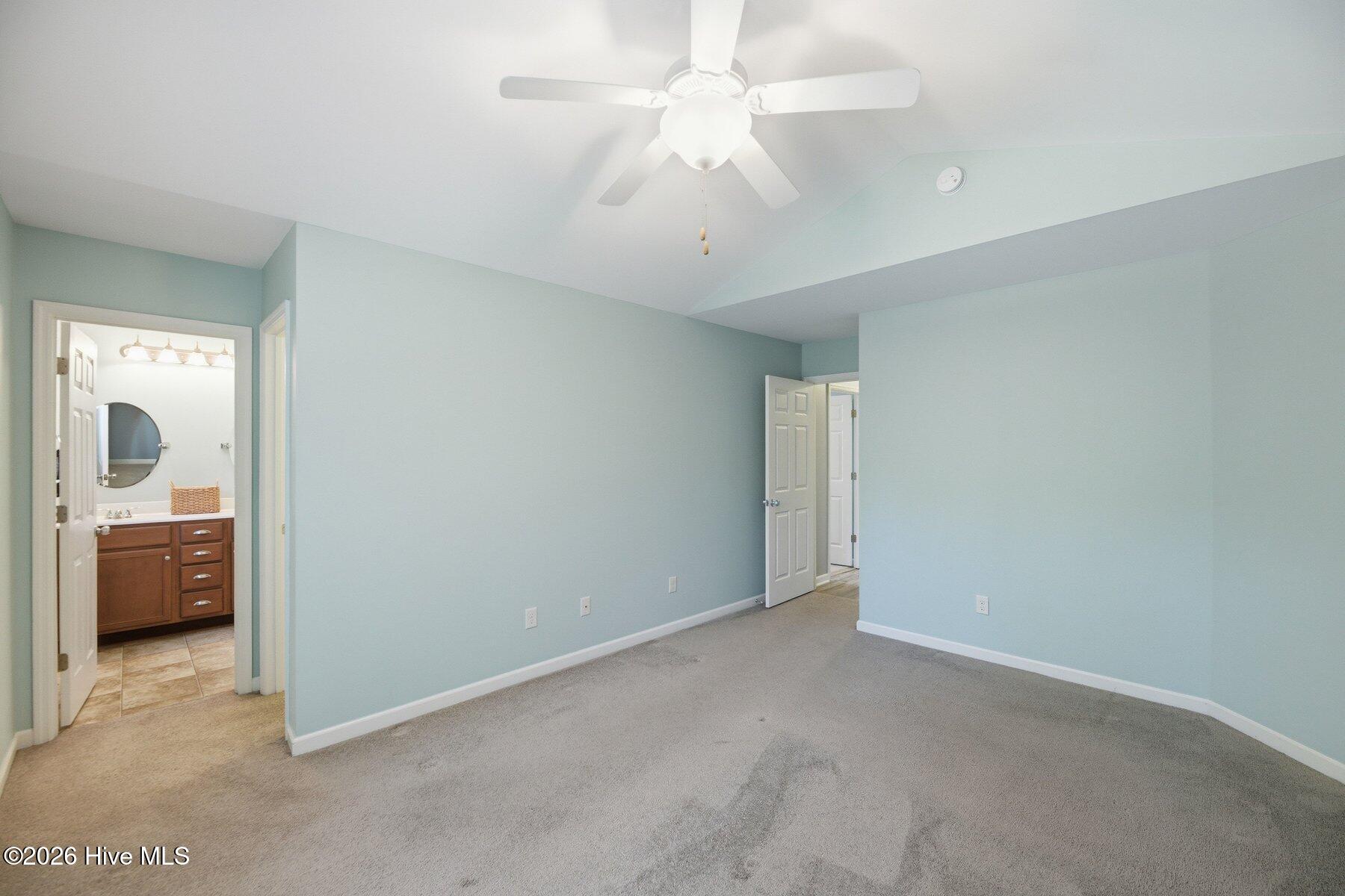 100563197 | Photo 15