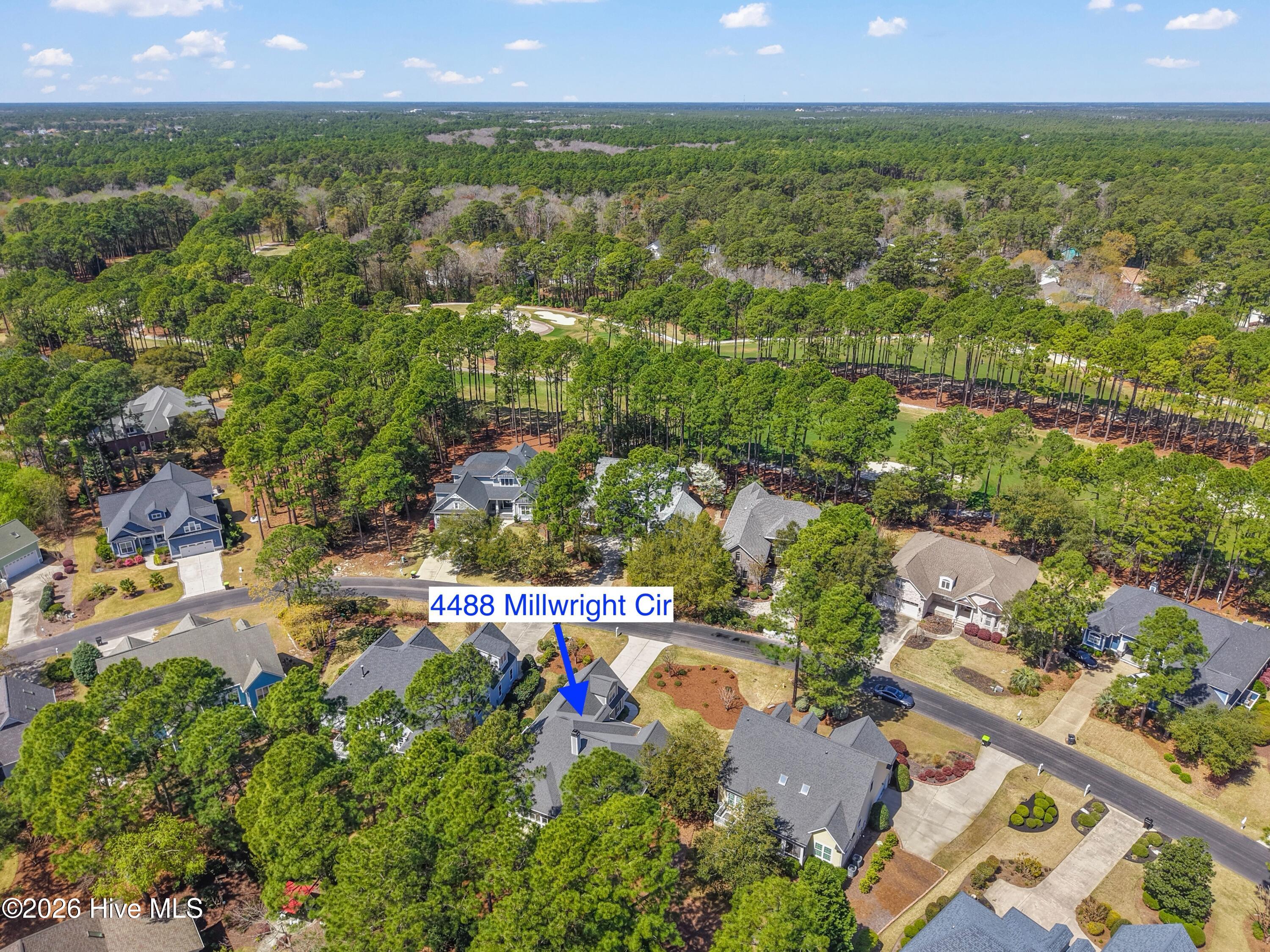 100563713 | Photo 49