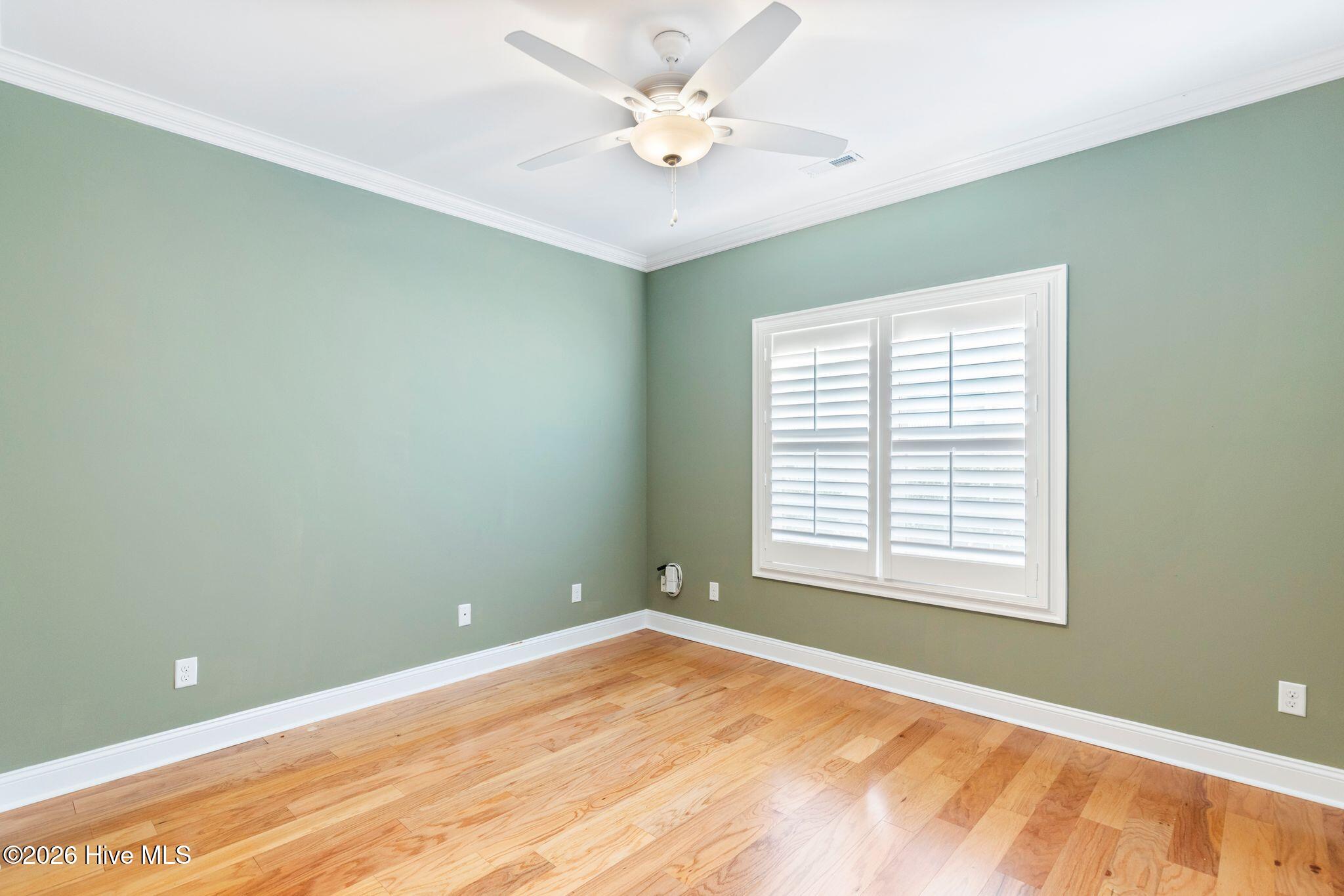 100559645 | Photo 29