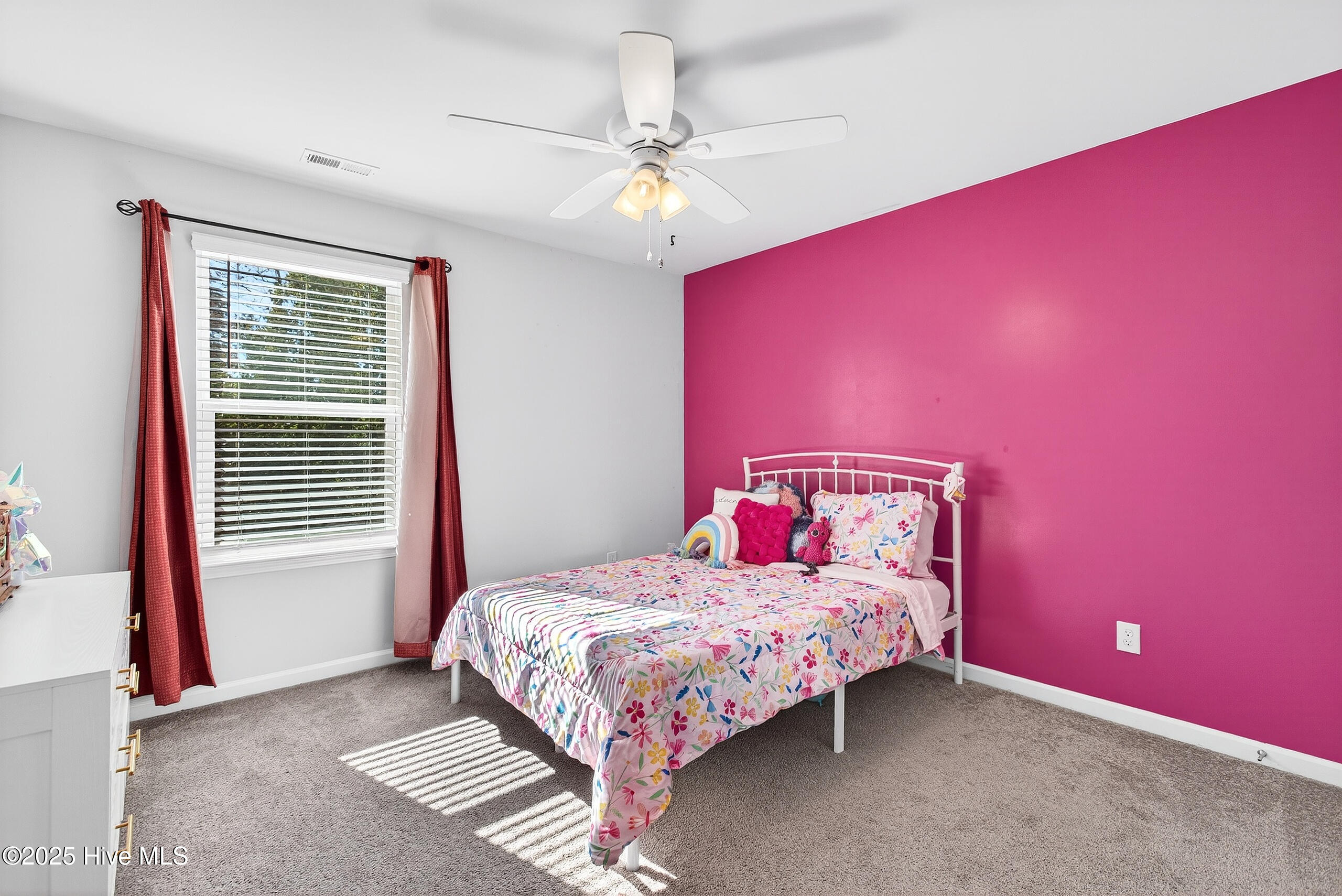 100539677 | Photo 23