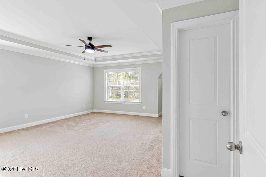 100566464 | Photo 43