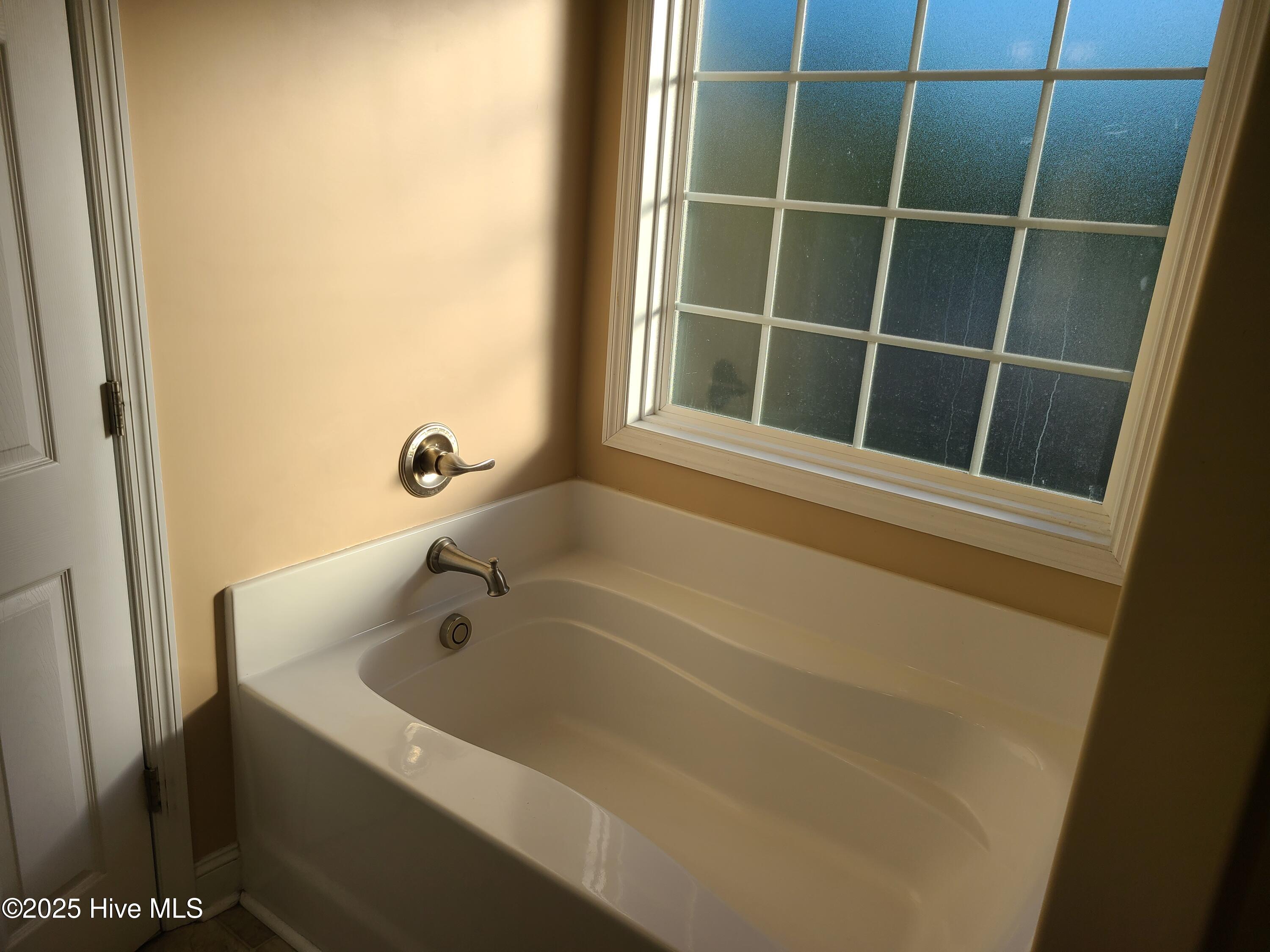 100539492 | Photo 23