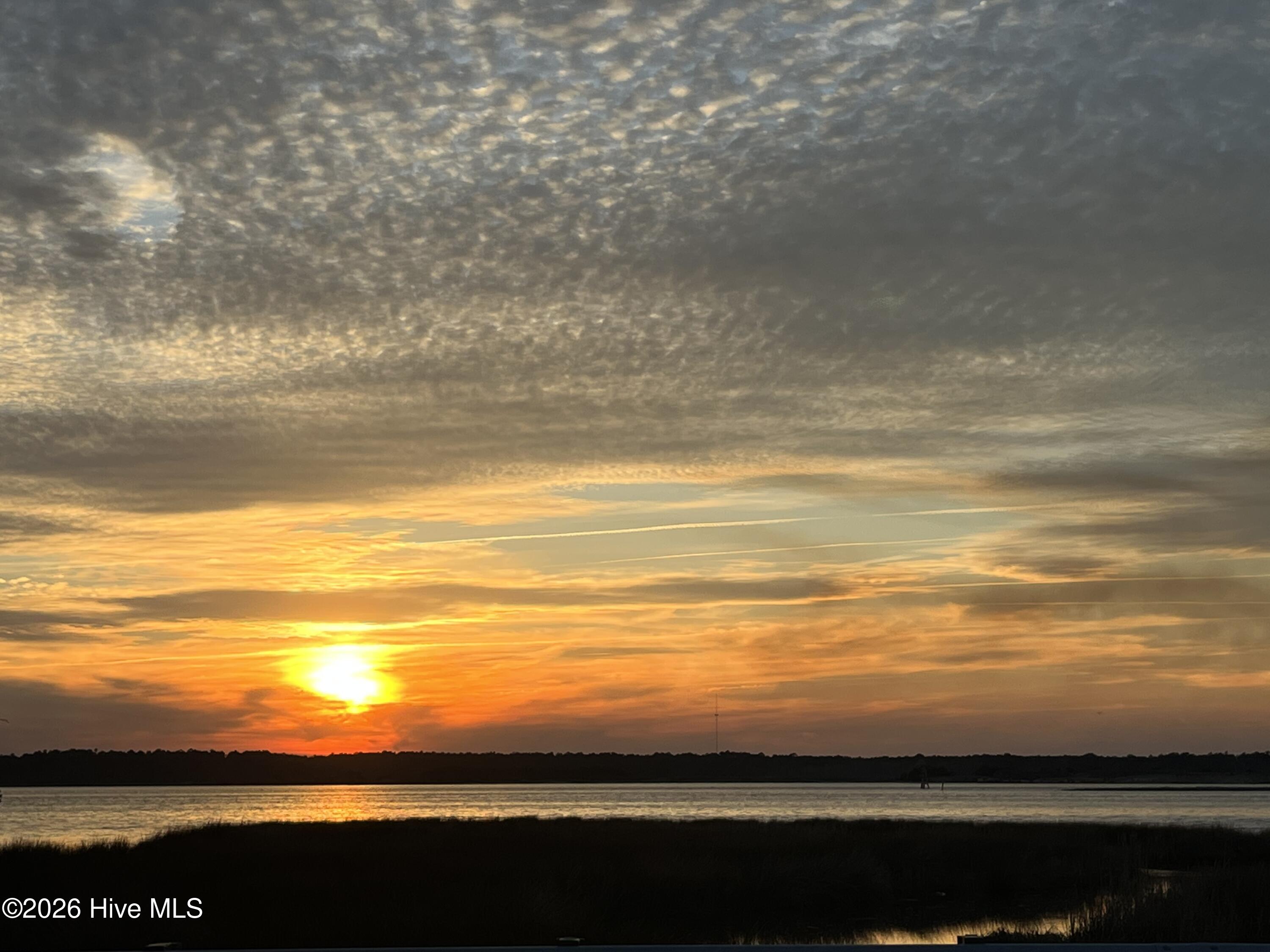 100564831 | Photo 10