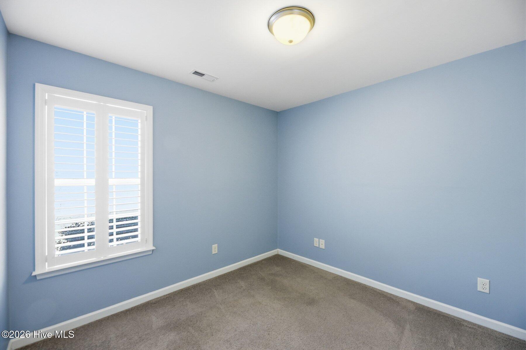 100563197 | Photo 18