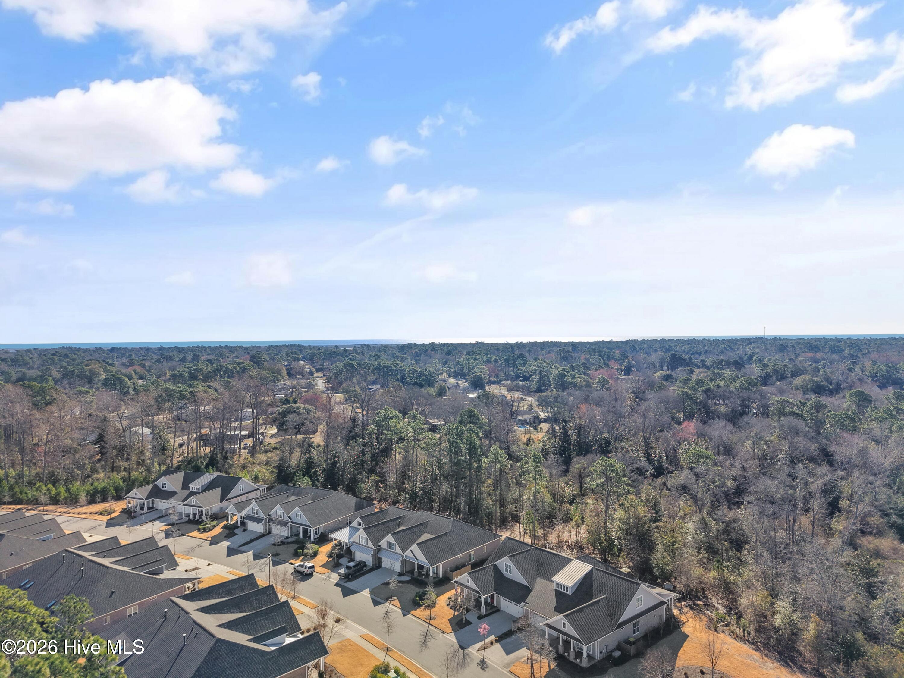 100558419 | Photo 51