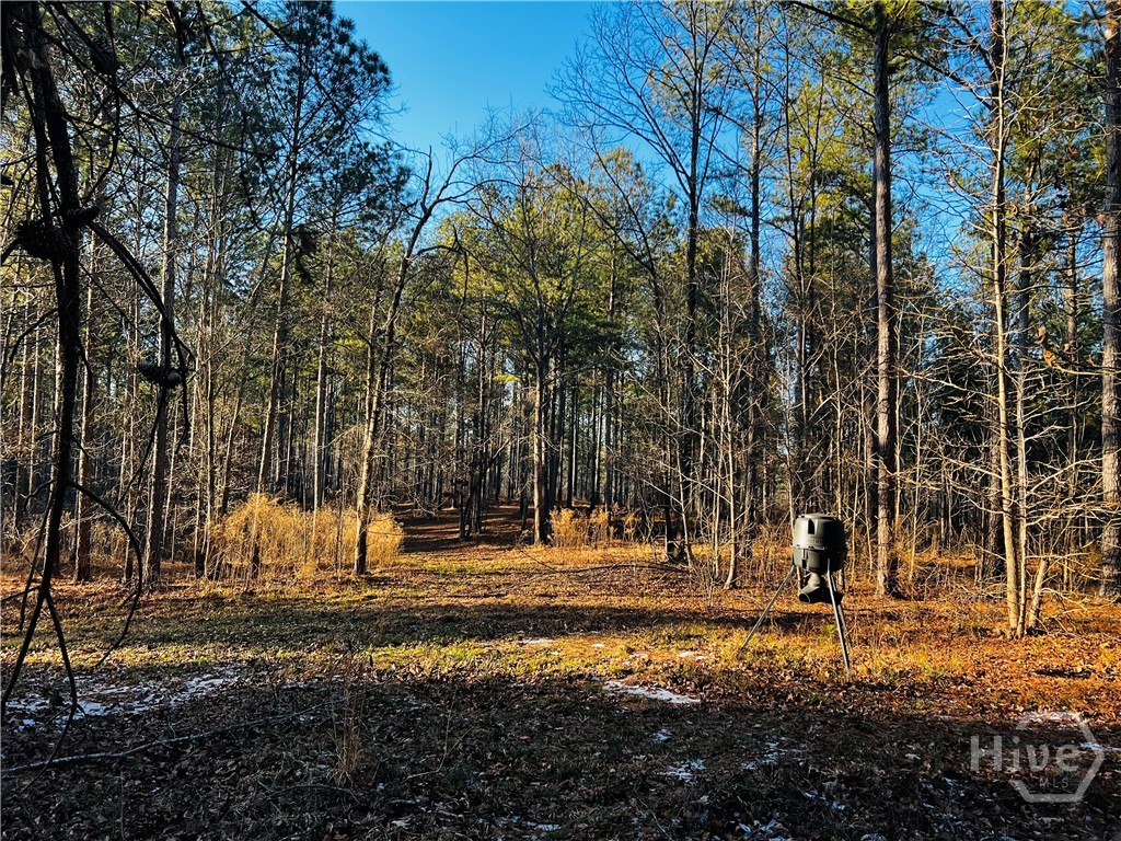 2285 Cherokee Road, Comer, GA, 30629