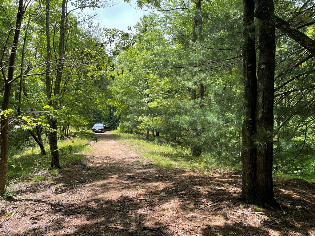 21 # 21 Collett Woods Trail