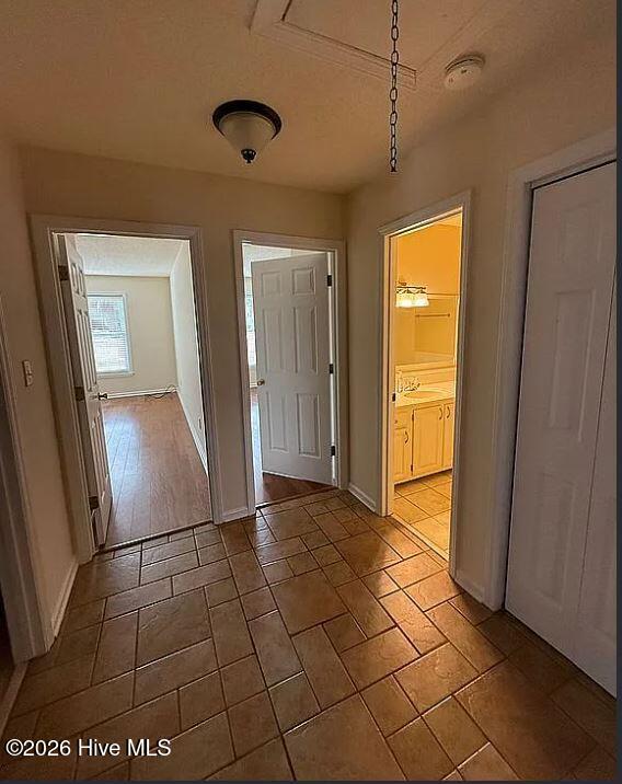 100561136 | Photo 44