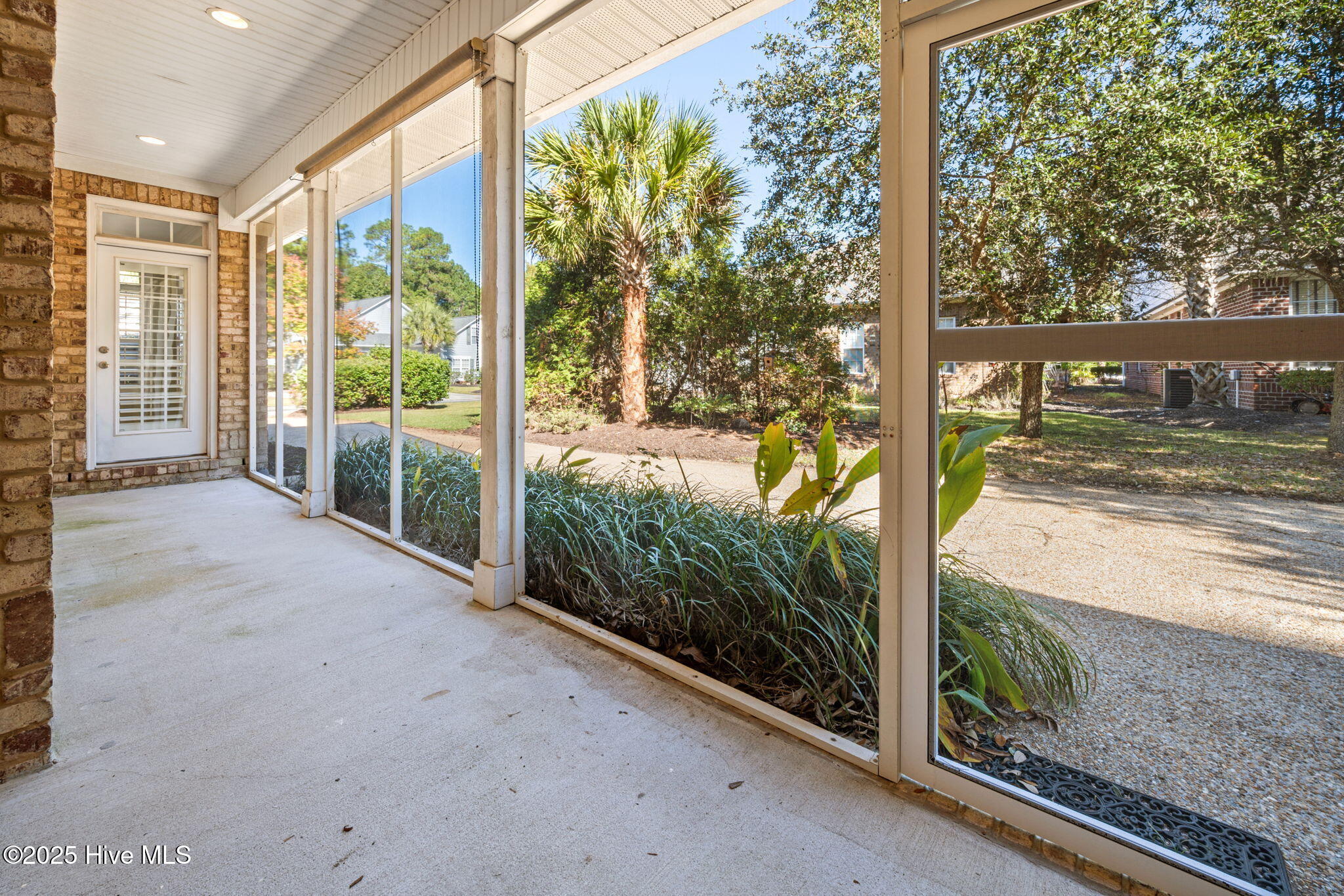 100538167 | Photo 20