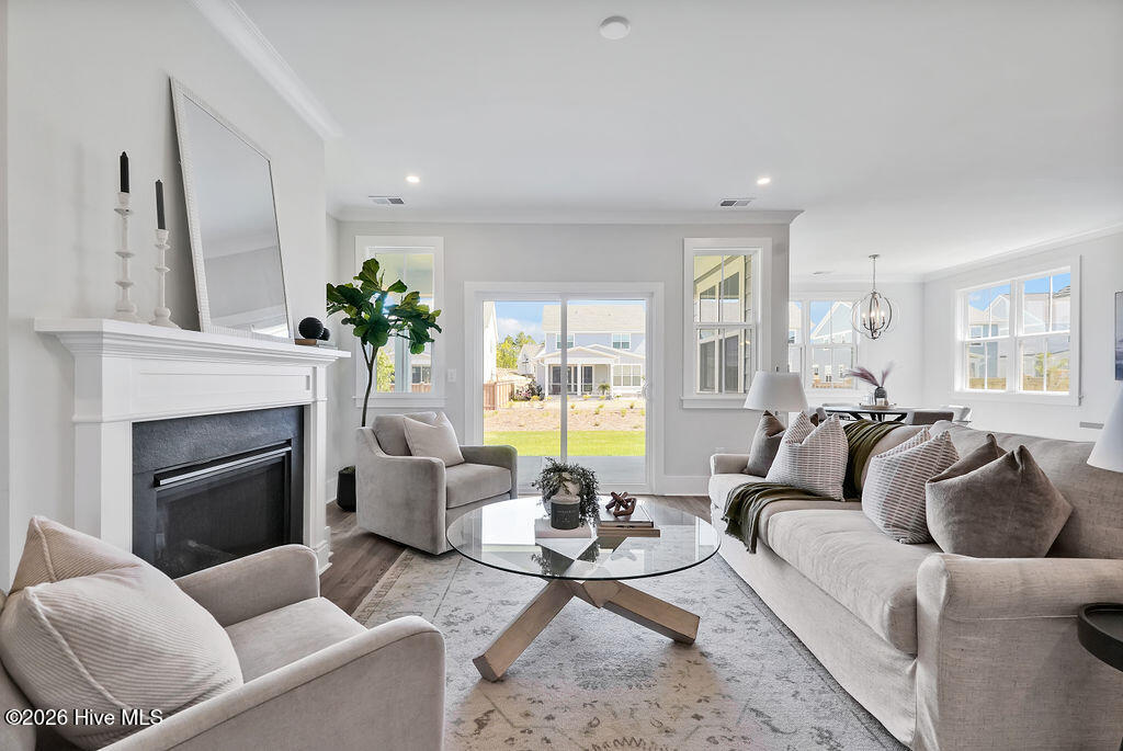 100558374 | Photo 26