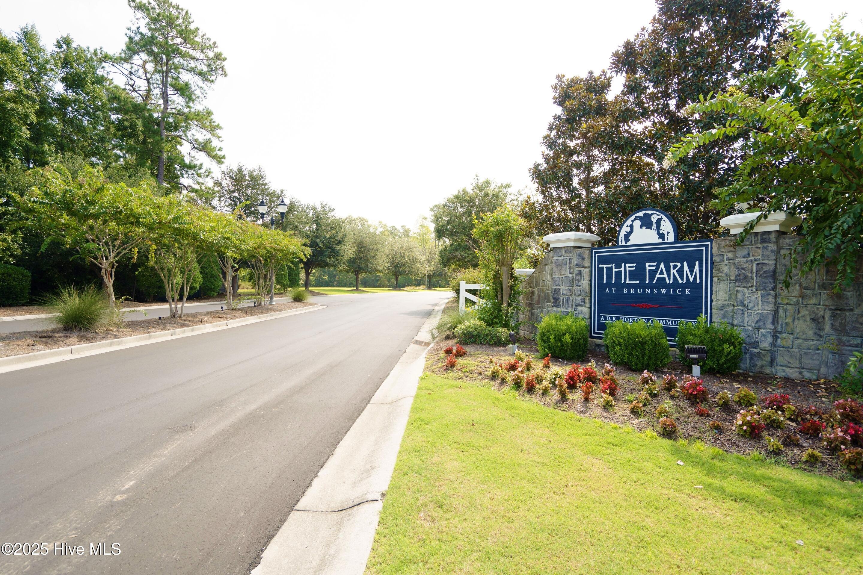 100509496 | Photo 50