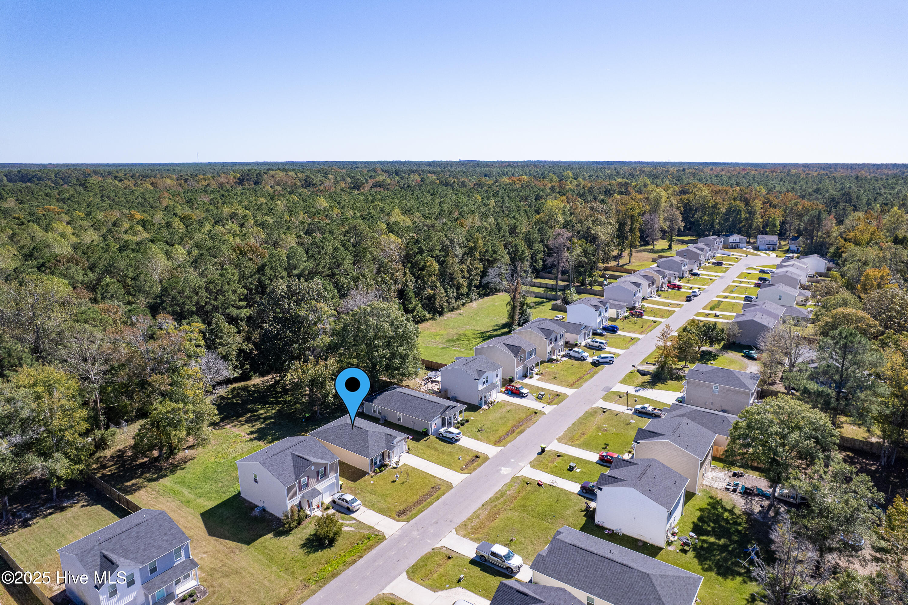 100537906 | Photo 35