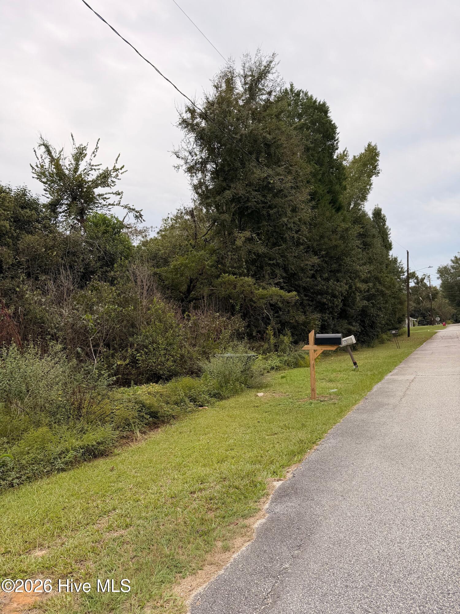 Photo 3 of Land for sale at 0 Mary St, Midville, GA 30441 | MLS# 100609538 | Listing updated on 2026-10-10