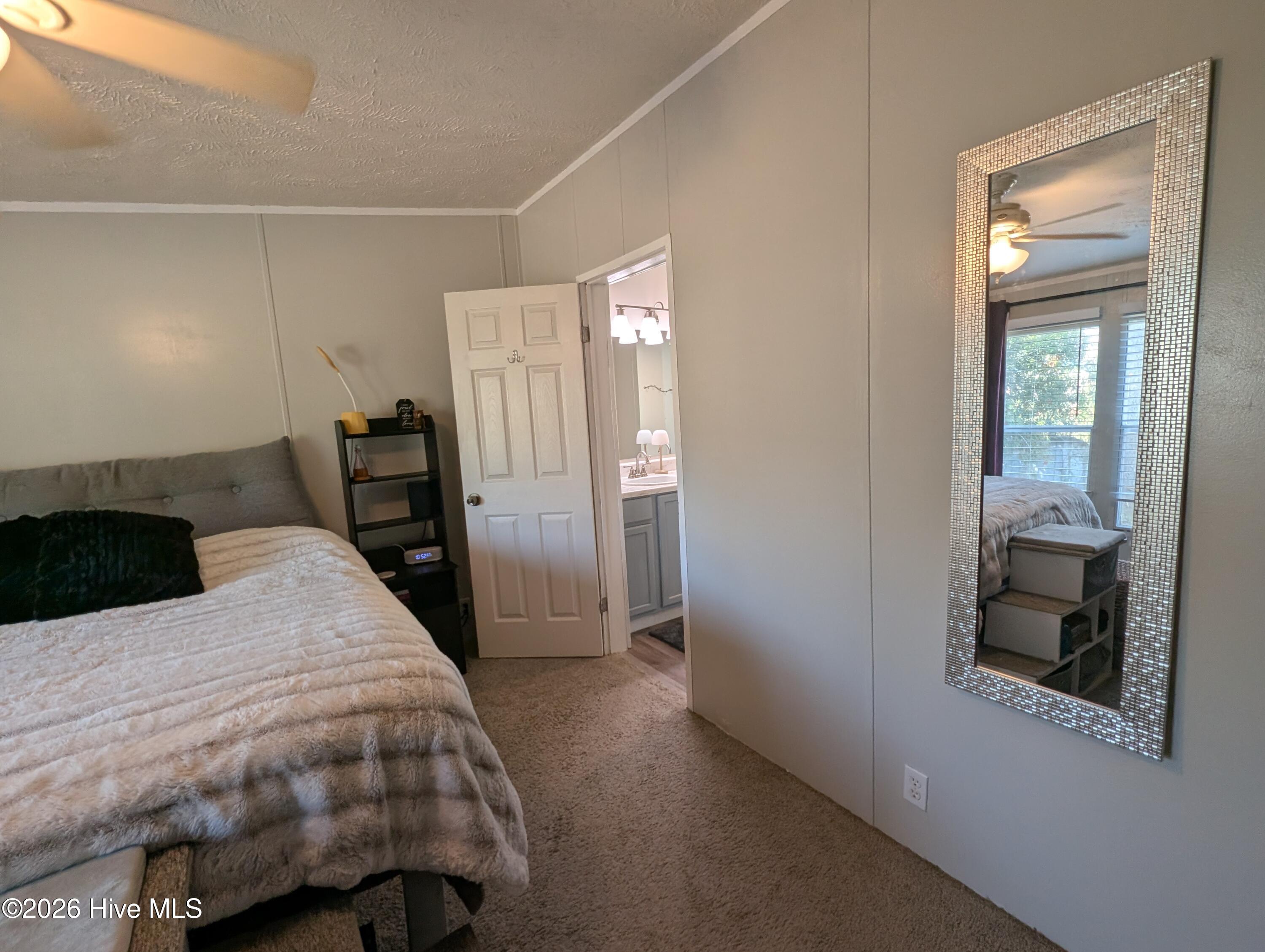 100556219 | Photo 33