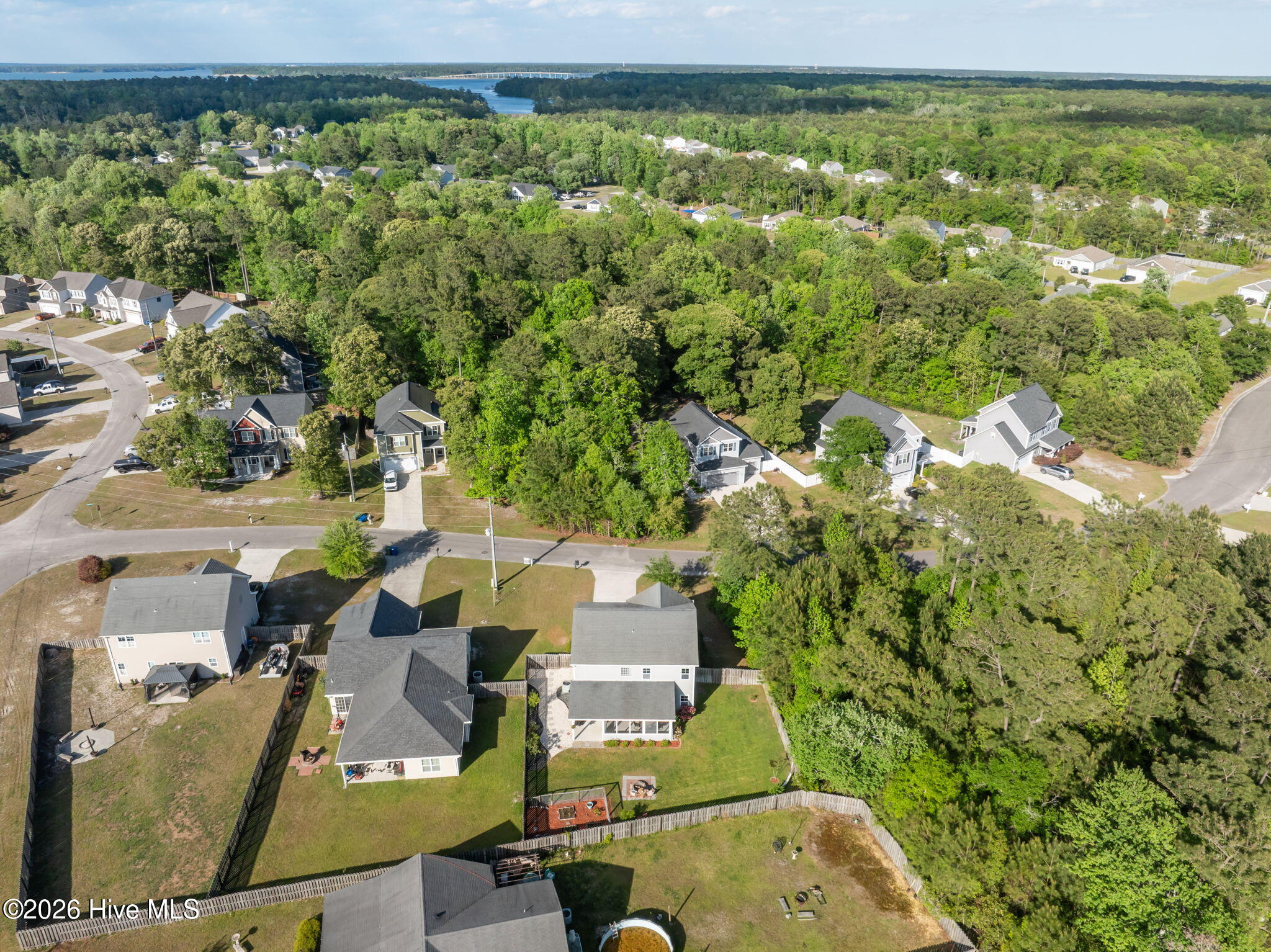 100568567 | Photo 51