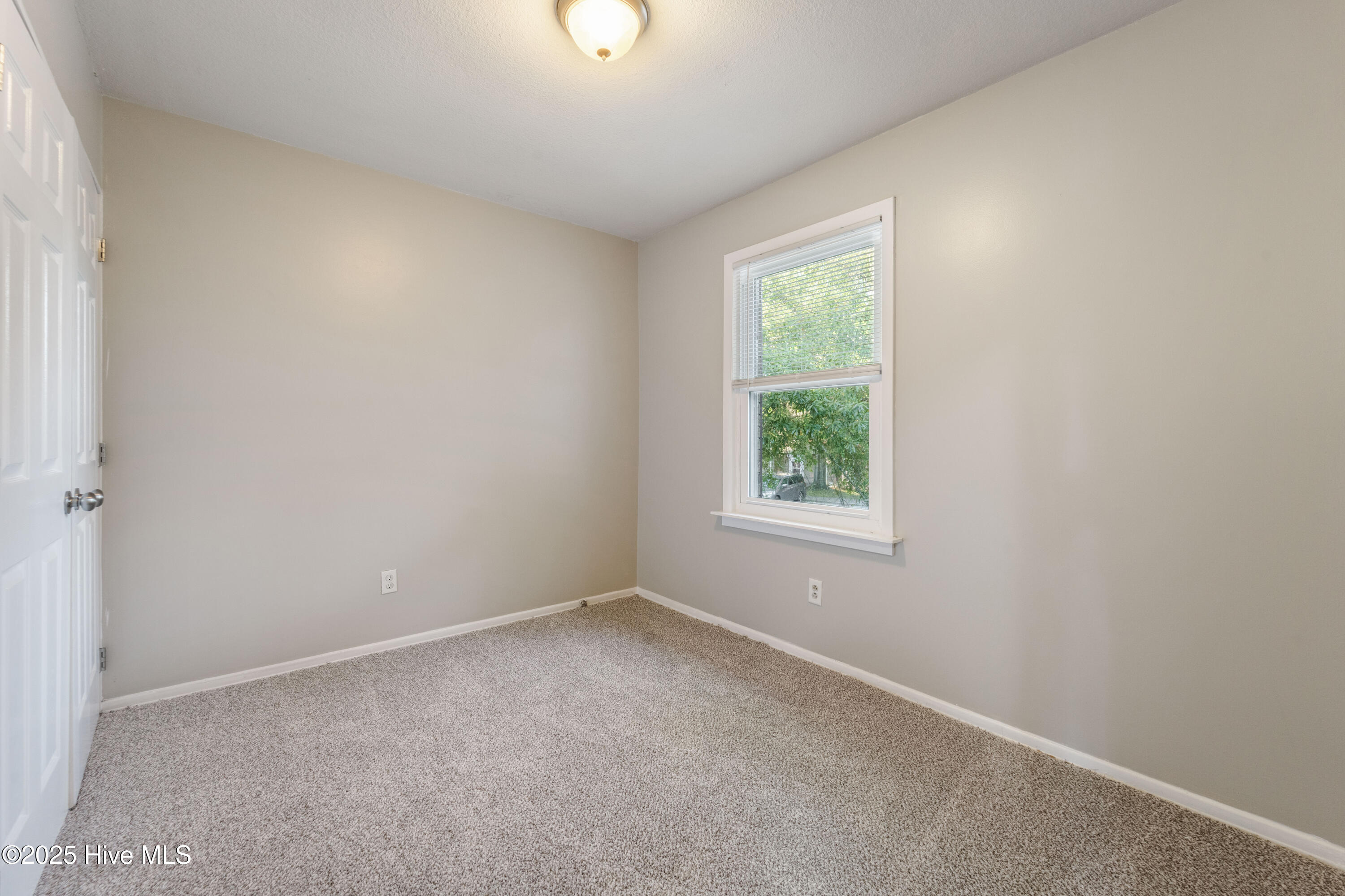 100537684 | Photo 10