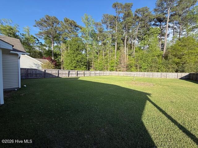 100557118 | Photo 23