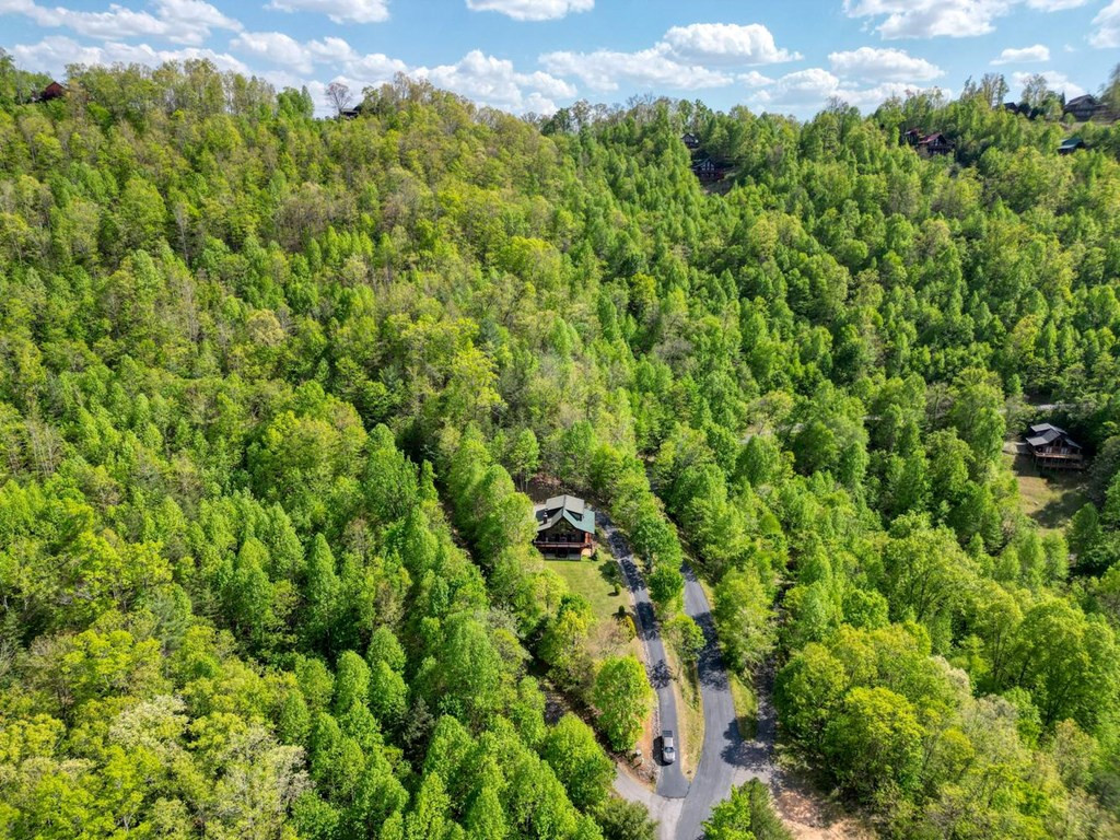 249 Buck Ridge Drive, Murphy, NC 28906 Listing Photo  57