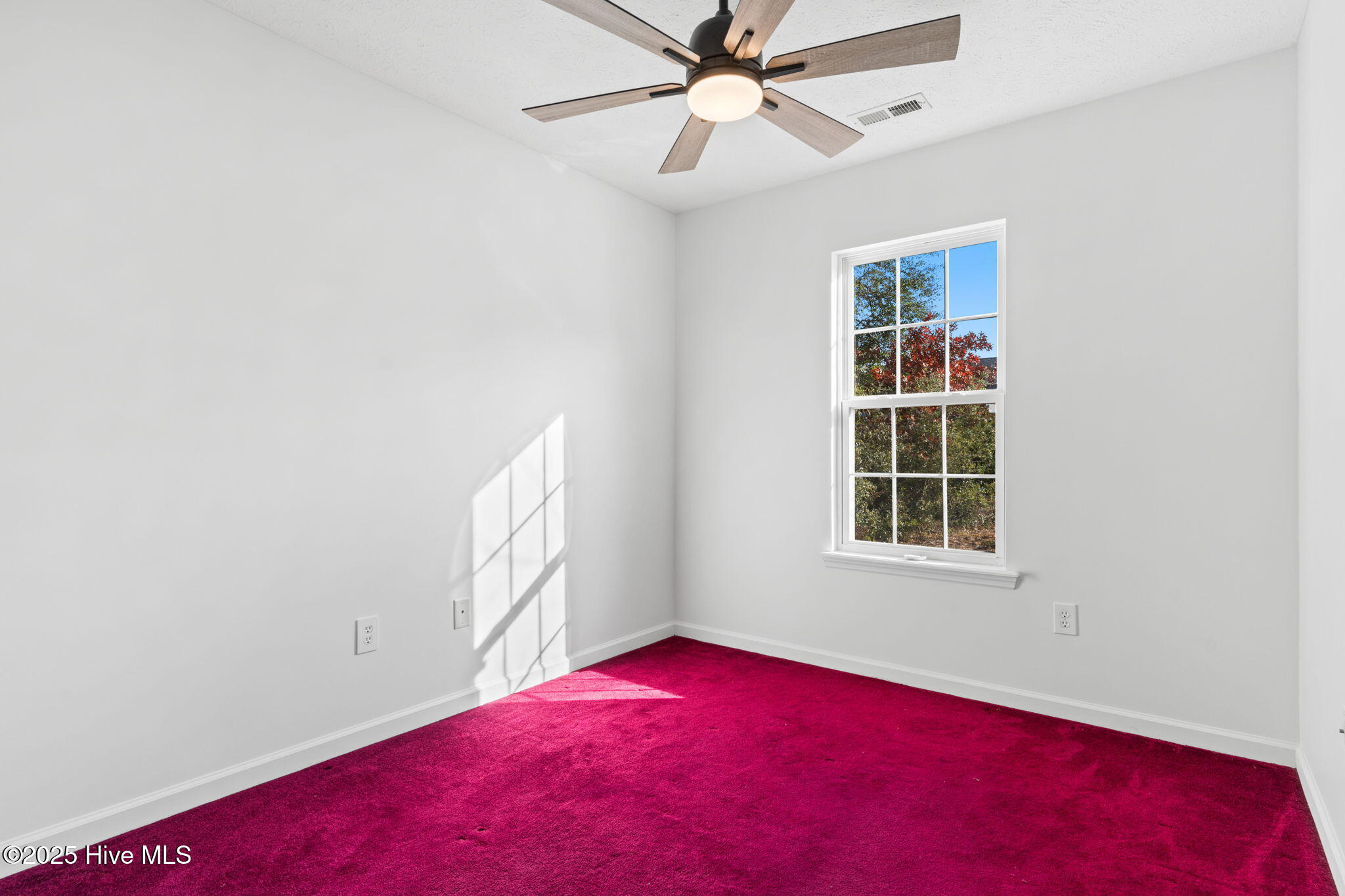 100545371 | Photo 20