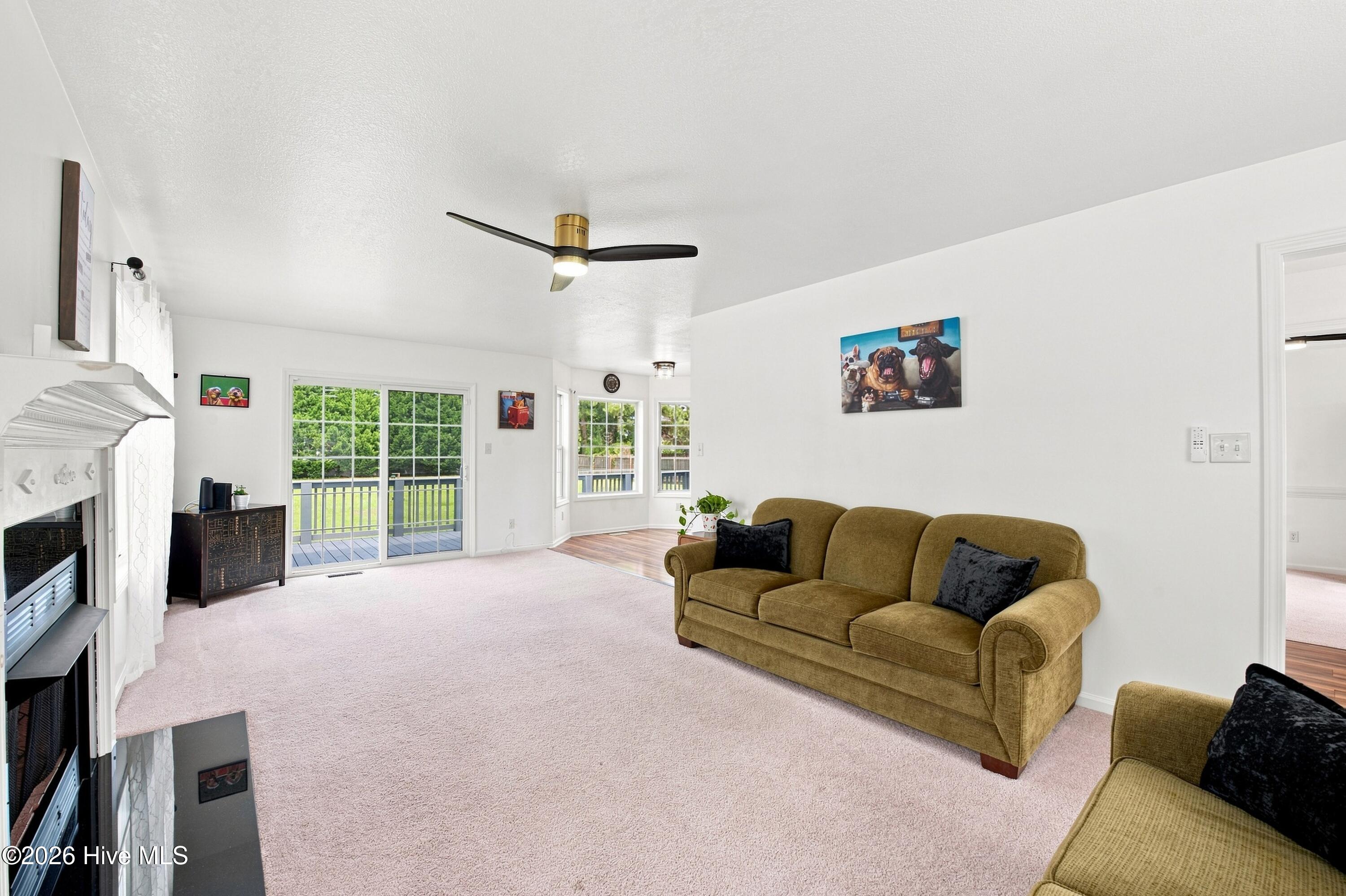 105 Quarter Horse,Havelock