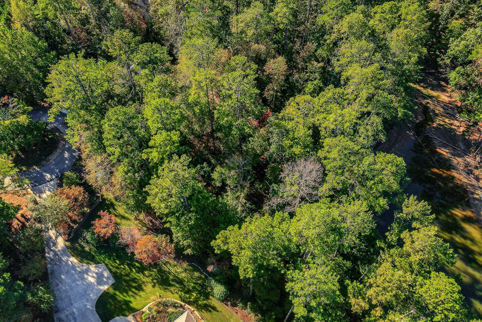 Lot 25 Apple Lane, Mccormick, SC, 29835