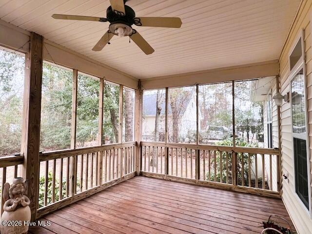 100548477 | Photo 29