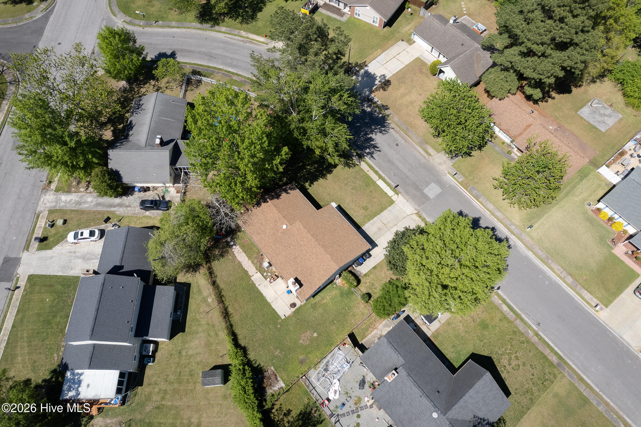 100566387 | Photo 46