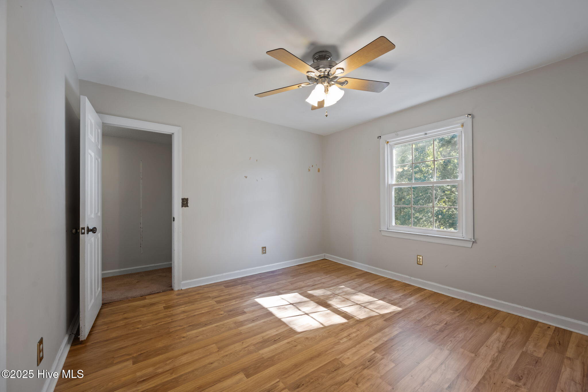 100537375 | Photo 36