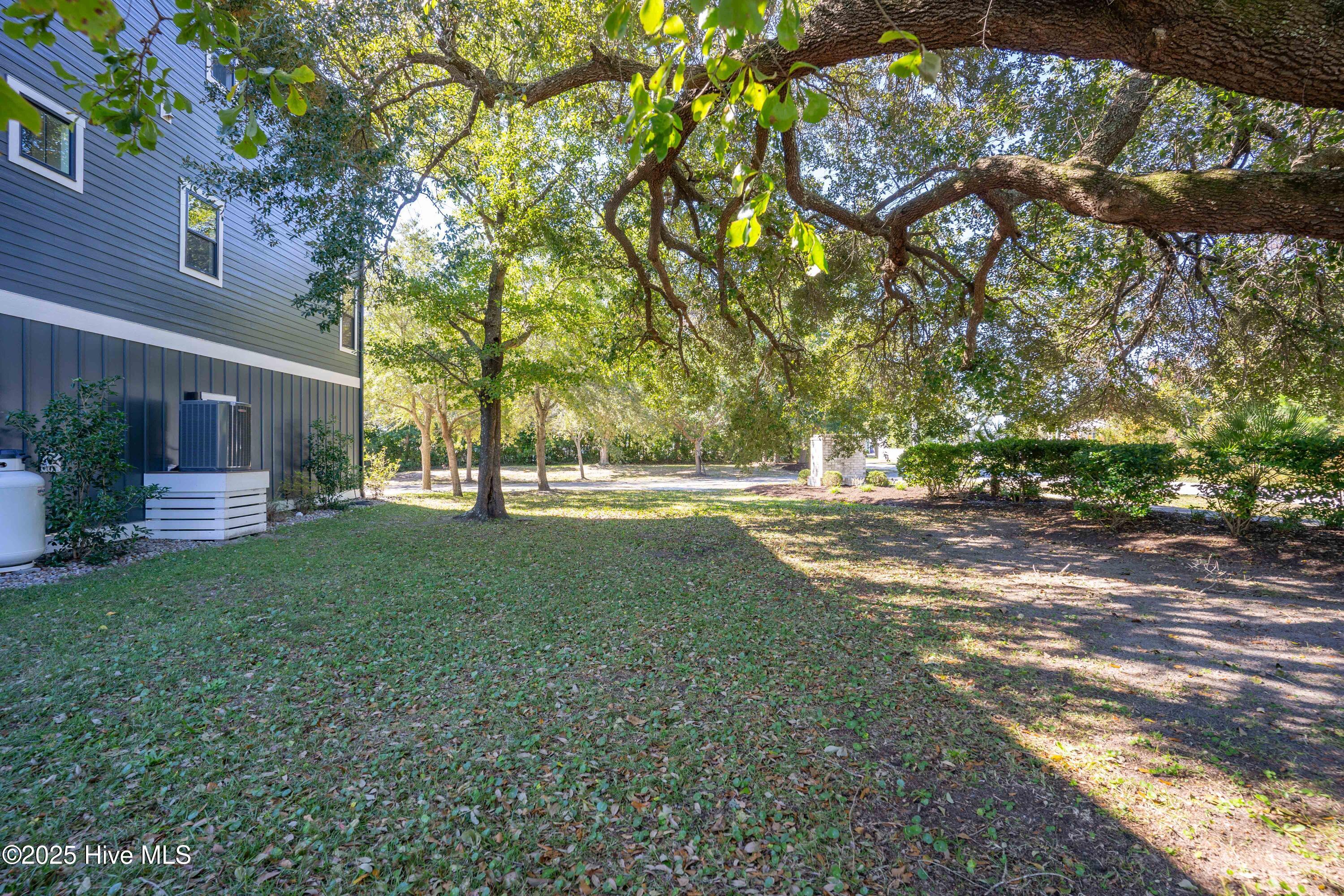 100537639 | Photo 12