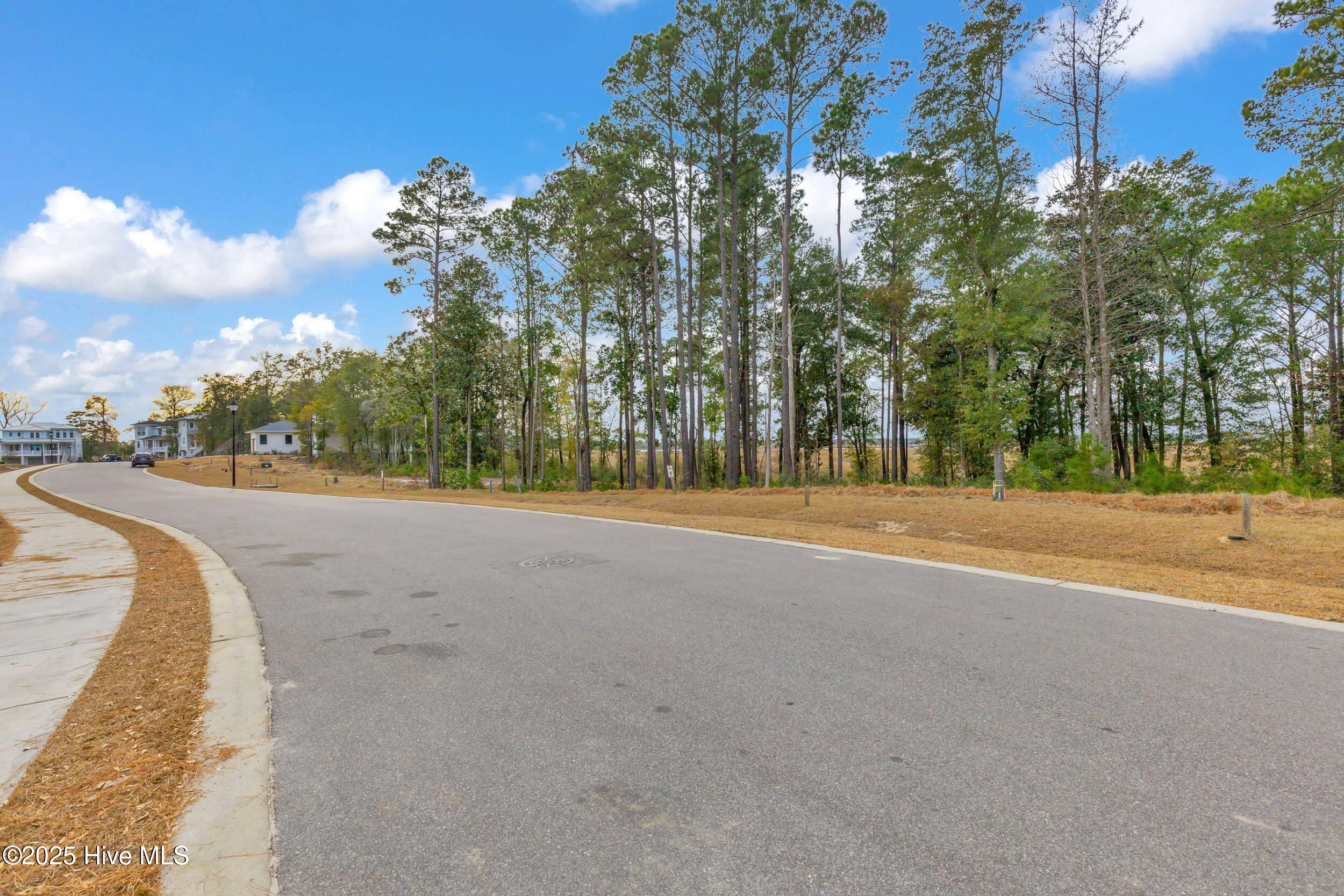 100564595 | Photo 22