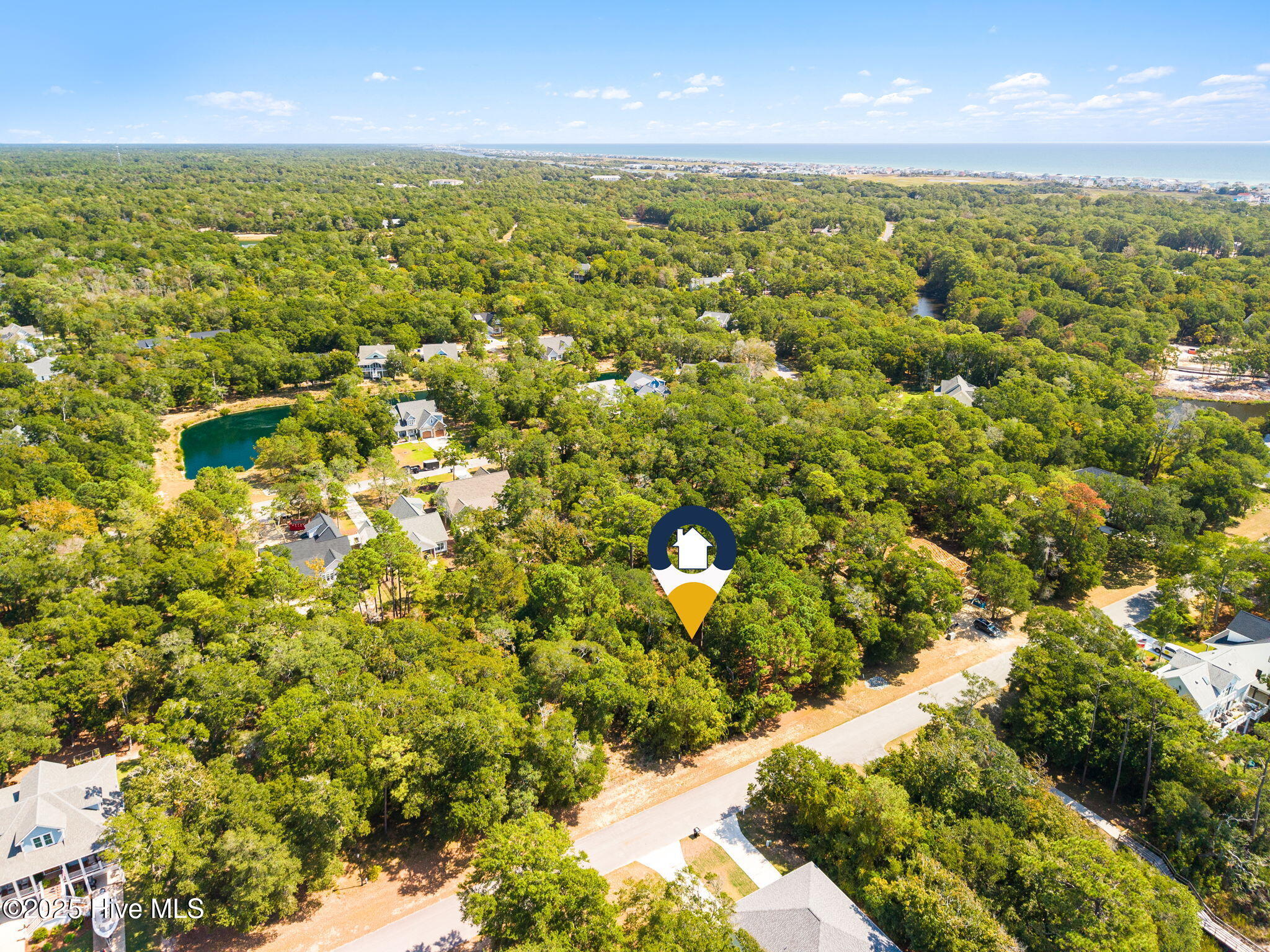 100533343 | Photo 10