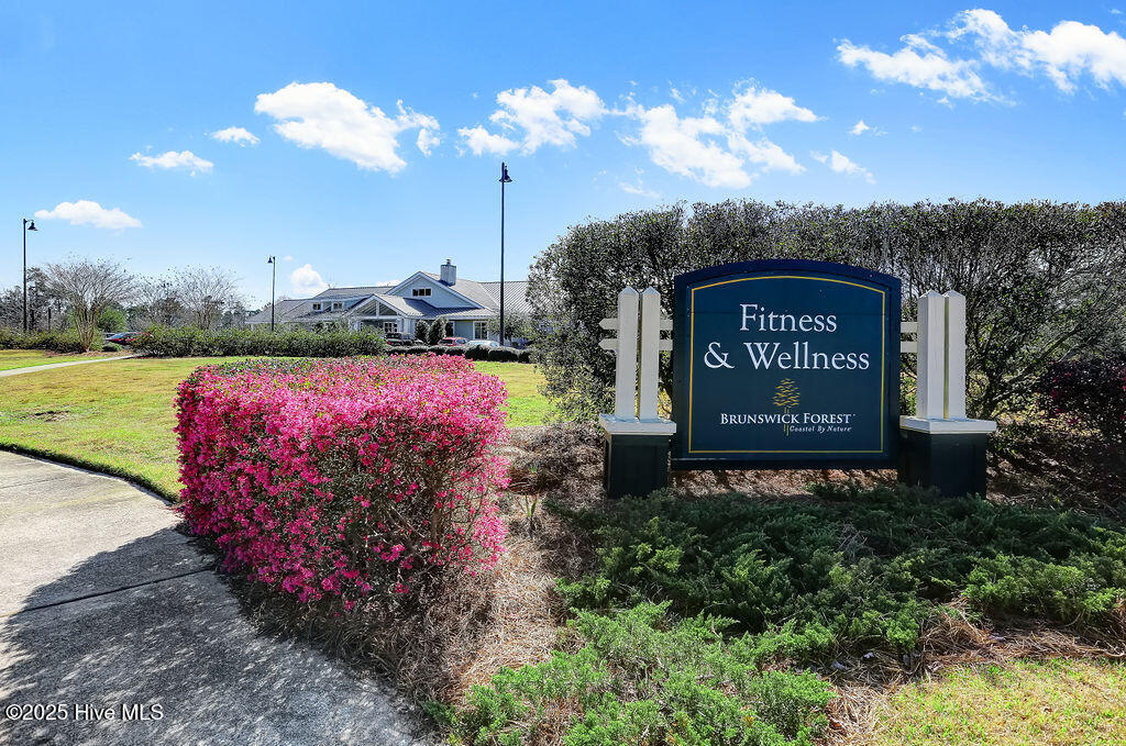 100506544 | Photo 54