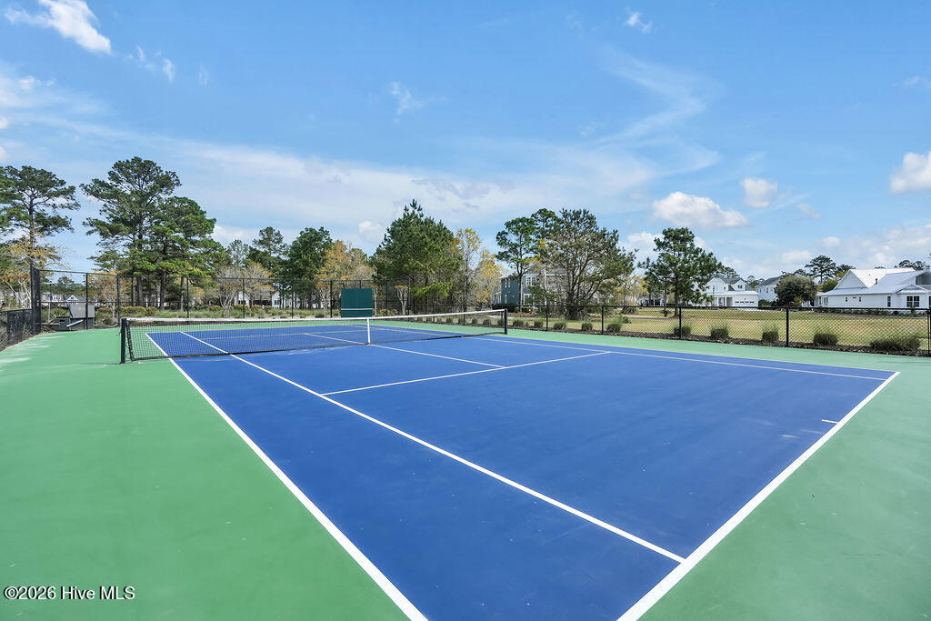 100564545 | Photo 67