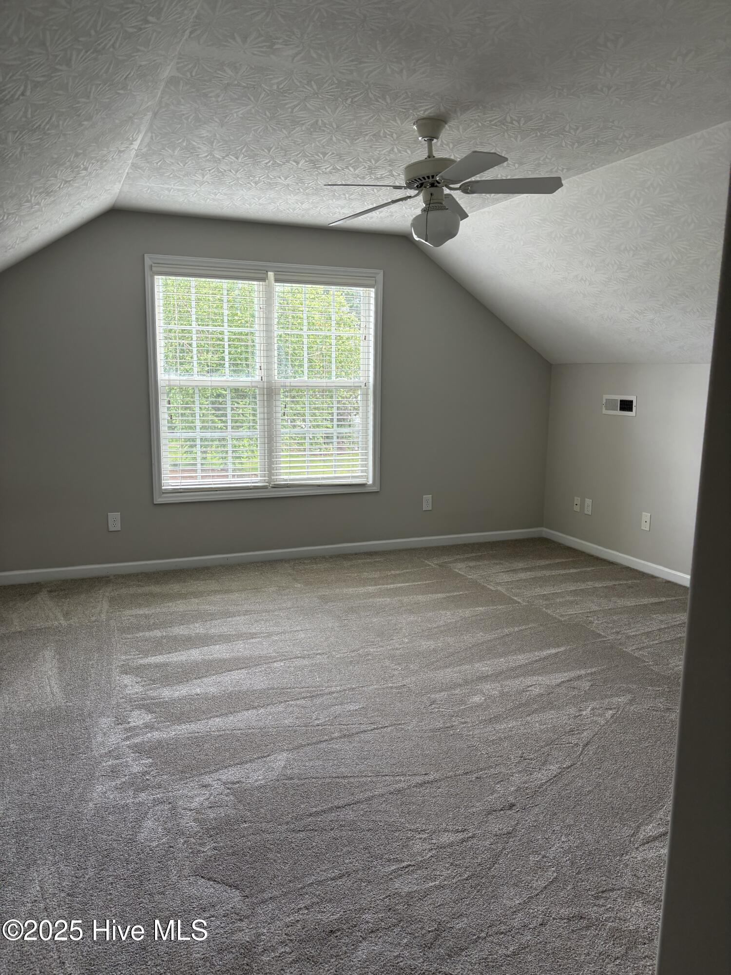 100560498 | Photo 22