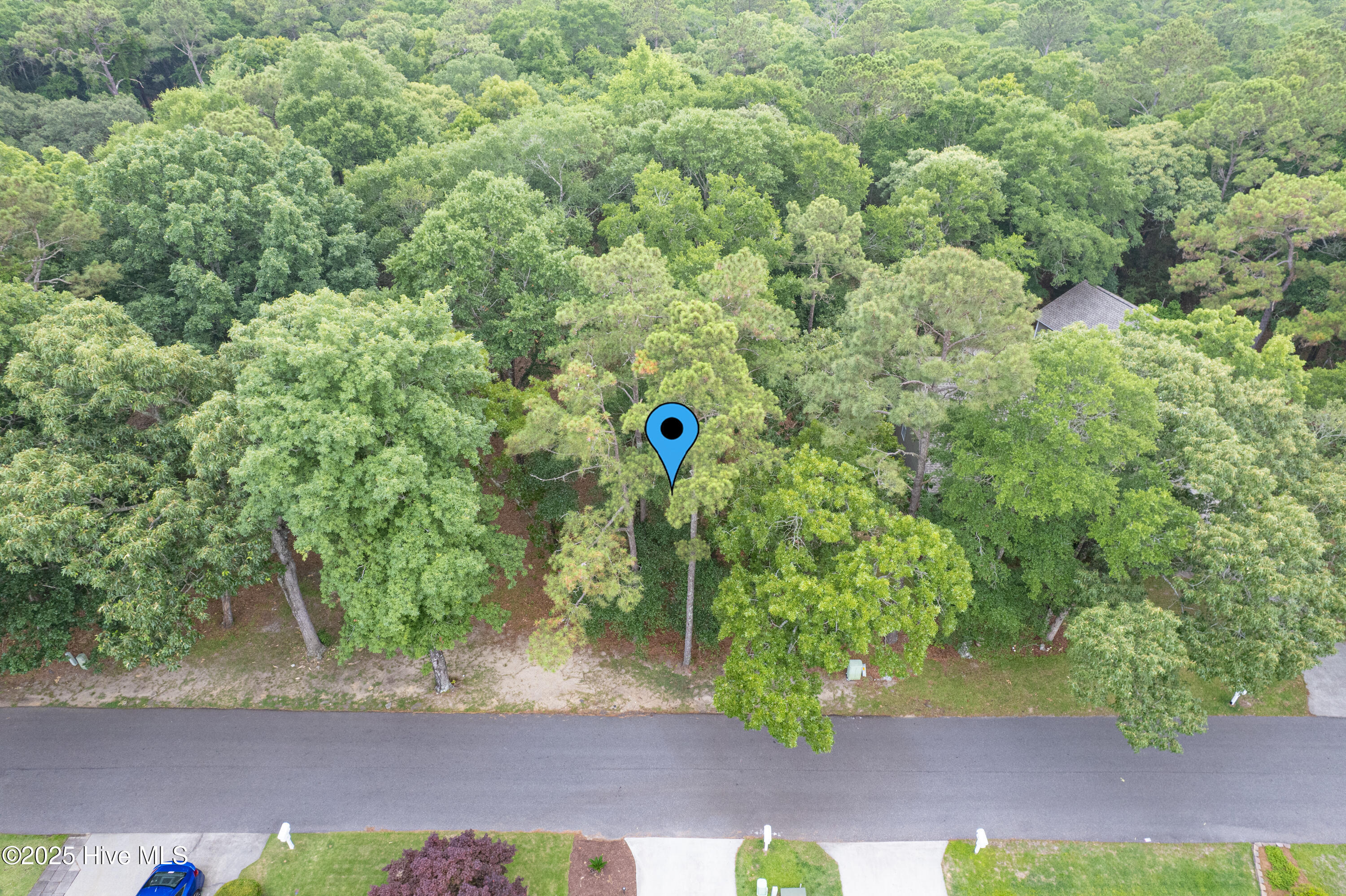 100548101 | Photo 11