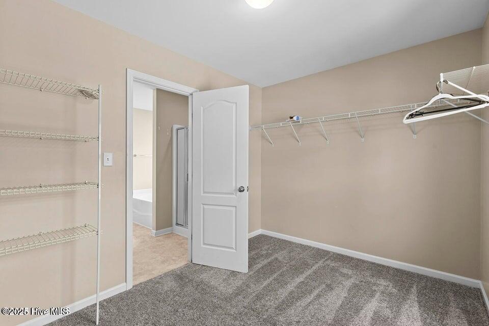 100530427 | Photo 16